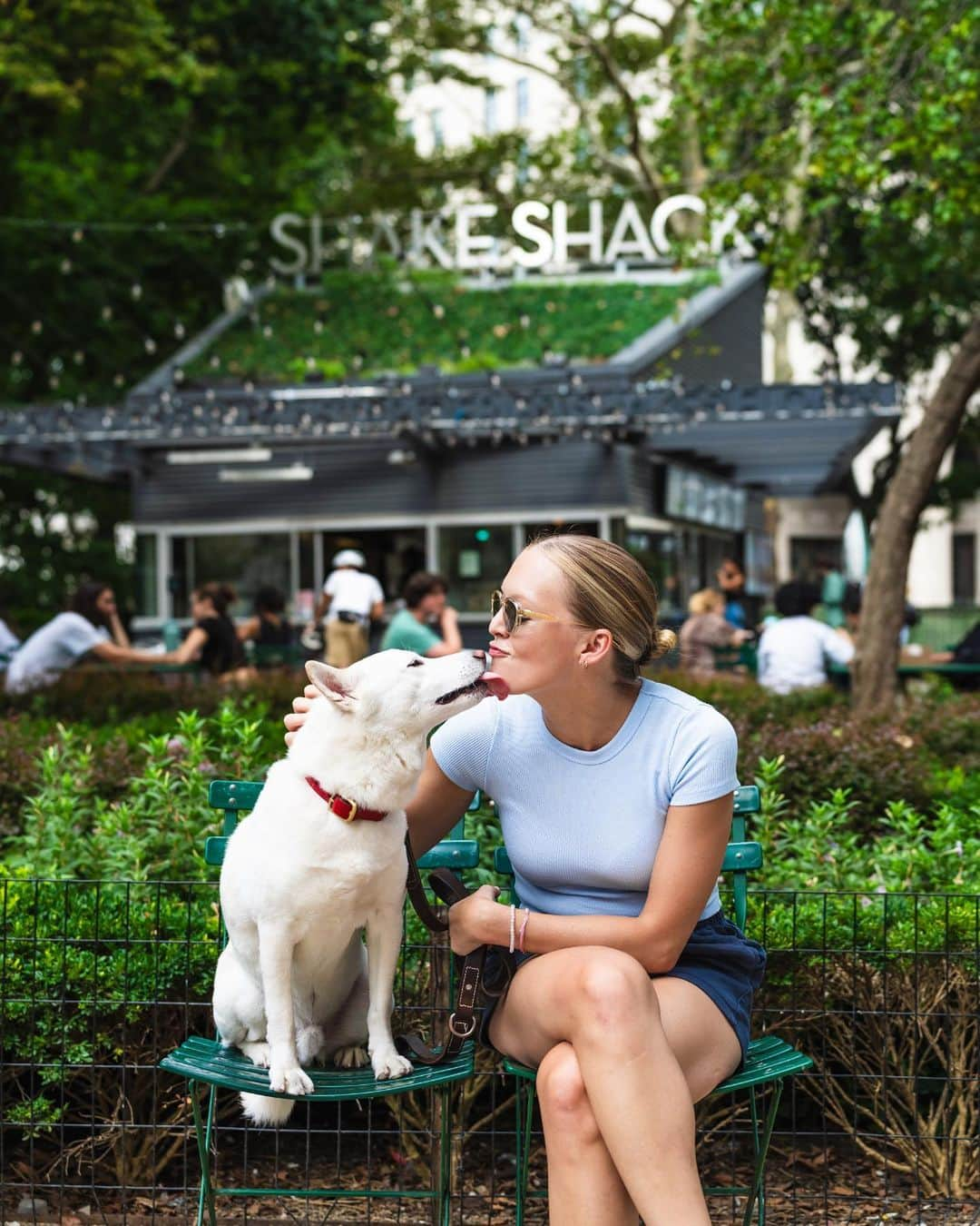 SHAKE SHACKさんのインスタグラム写真 - (SHAKE SHACKInstagram)「Tomorrow’s National Dog Day, so naturally we’re pulling out all the stops for pups this weekend. Scroll for the deets.👇      Buy any classic shake + receive a FREE Pooch-ini for your pup from 8/26-8/27. Use code DOGDATE.    8/26 is Pup Portrait Day at our Madison Square Park (NYC) + Austin (TX) Domain Shacks! Tap the link in our bio to snag a mini photo session reservation (spots are limited).      Can’t make it, or just need a smile? Follow @dogsofshakeshack, where we’ll be uploading photos of pups at the Shack all day long.  #shakeshack #nationaldogday」8月26日 0時05分 - shakeshack