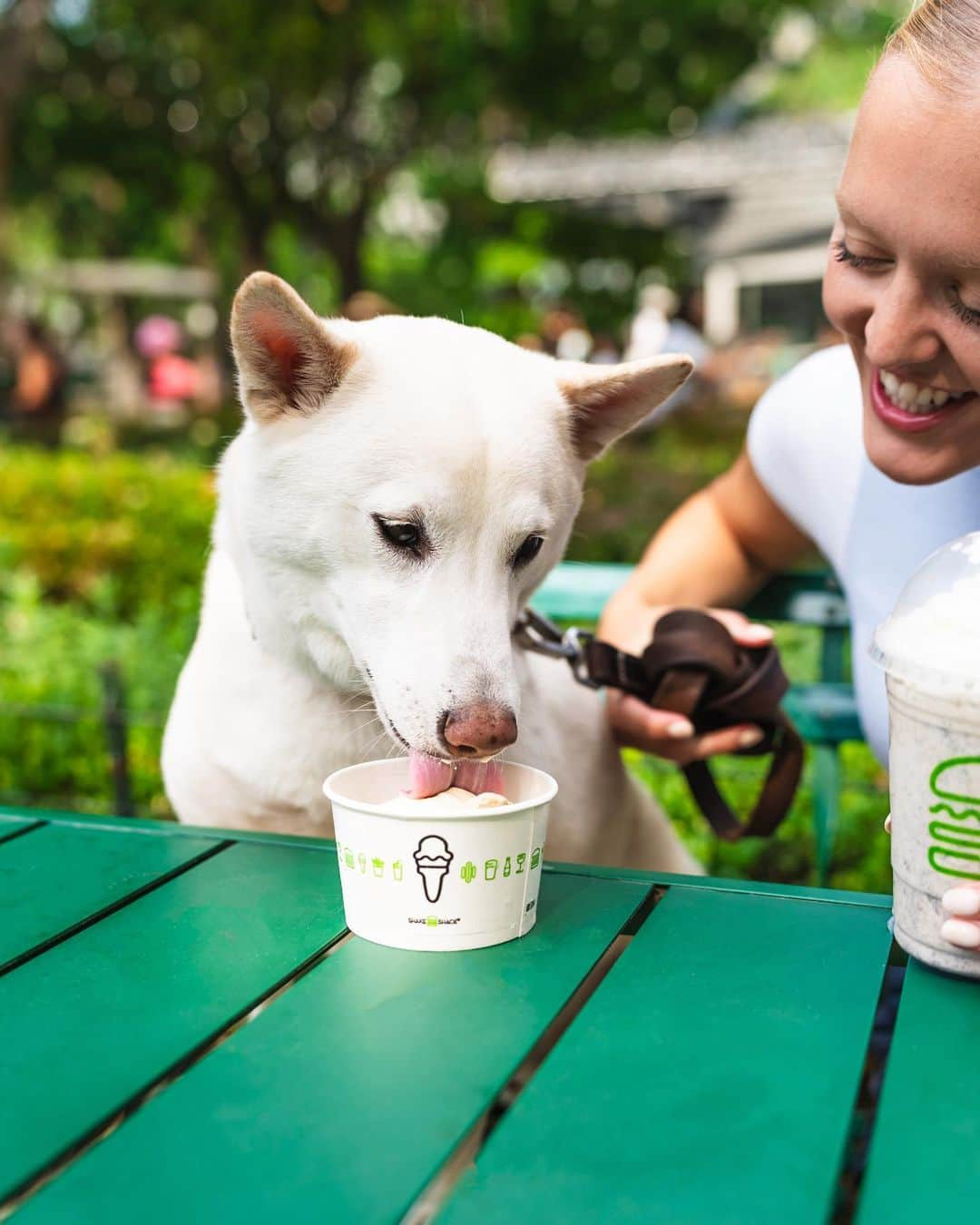 SHAKE SHACKさんのインスタグラム写真 - (SHAKE SHACKInstagram)「Tomorrow’s National Dog Day, so naturally we’re pulling out all the stops for pups this weekend. Scroll for the deets.👇      Buy any classic shake + receive a FREE Pooch-ini for your pup from 8/26-8/27. Use code DOGDATE.    8/26 is Pup Portrait Day at our Madison Square Park (NYC) + Austin (TX) Domain Shacks! Tap the link in our bio to snag a mini photo session reservation (spots are limited).      Can’t make it, or just need a smile? Follow @dogsofshakeshack, where we’ll be uploading photos of pups at the Shack all day long.  #shakeshack #nationaldogday」8月26日 0時05分 - shakeshack