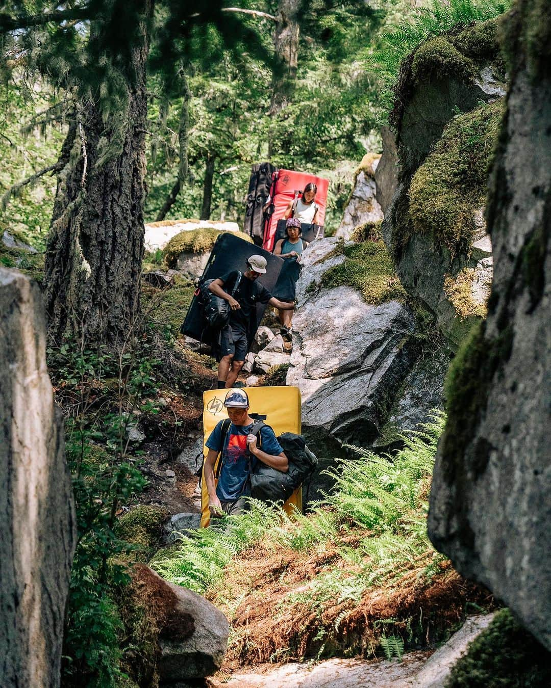 ニナ・カプレツさんのインスタグラム写真 - (ニナ・カプレツInstagram)「Magic foresttime! #squamish #arcteryxacademy #bouldering @arcteryx   📸 @chadchomlack」8月26日 9時29分 - ninacaprez