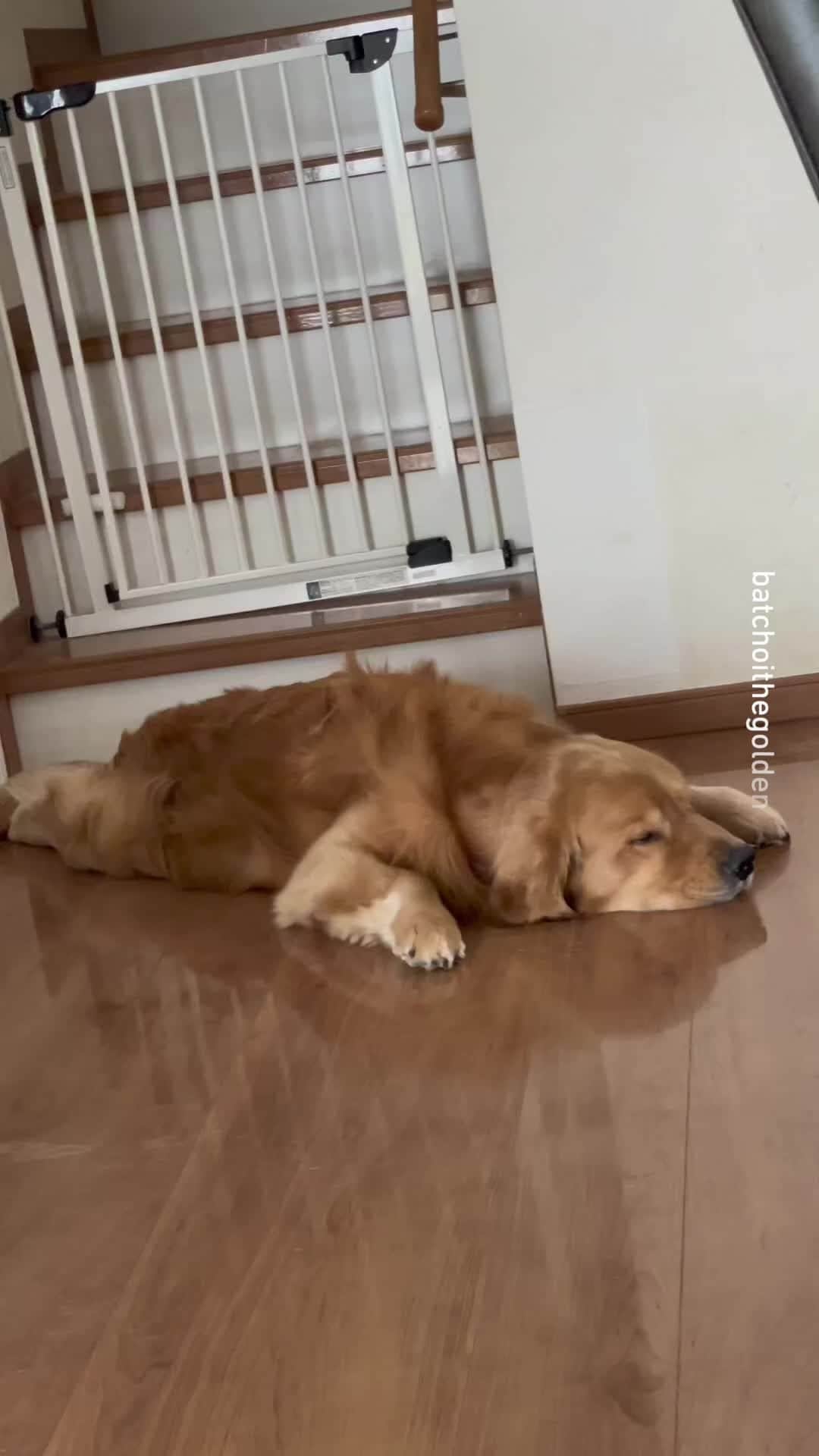 9GAGのインスタグラム