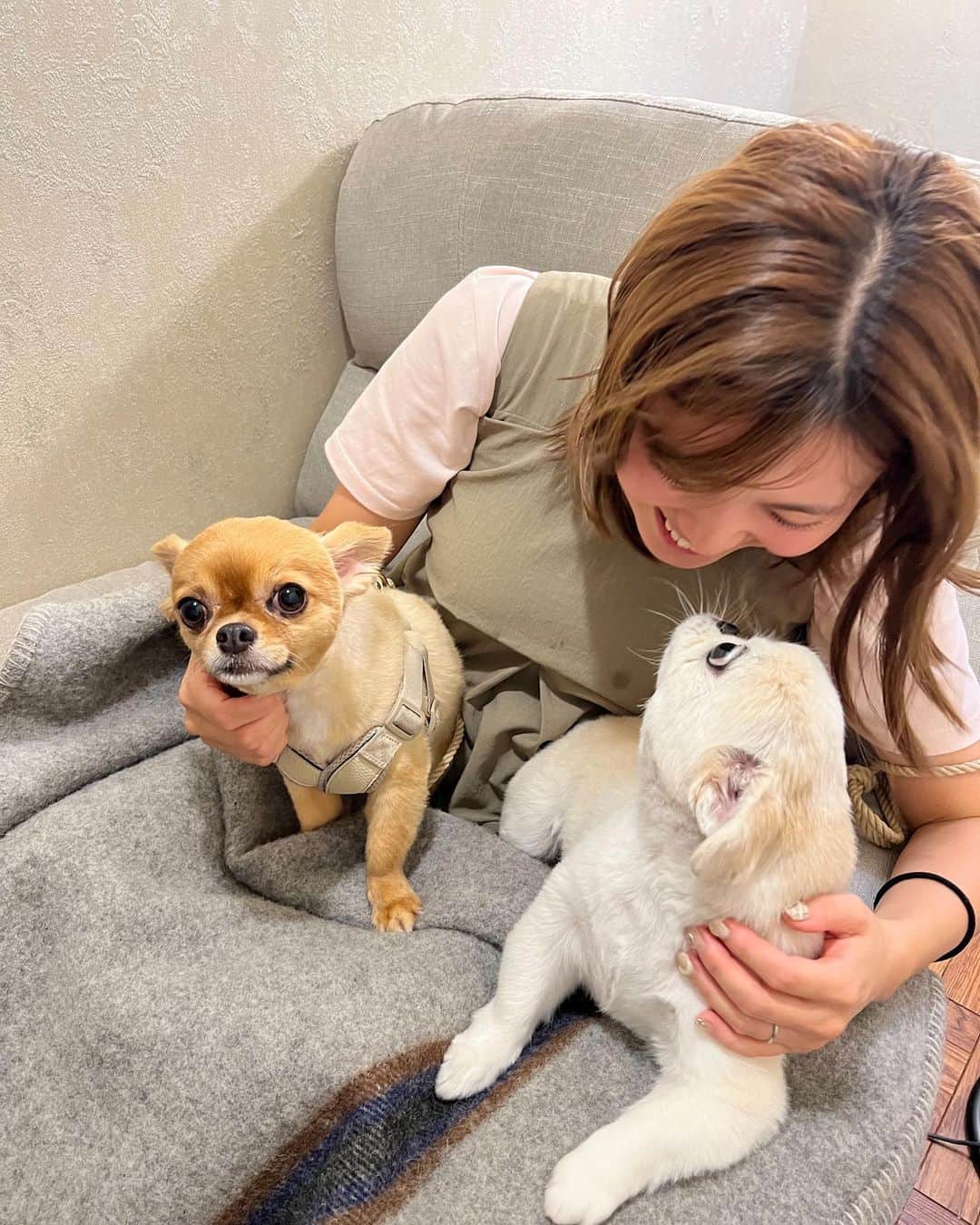瀬戸サオリのインスタグラム：「まつ毛メンテナンス🤍  大好きえりさんの元へ🥹🩷 いつも可愛いくしてくれる😌 @nogangan   てぃちゃんと 仲良くしてくれる おもちくん🫰🏼 @omochi_kun   私の膝可愛いの大渋滞🤤💛😮‍💨 スーパー癒し空間🫶🏽」