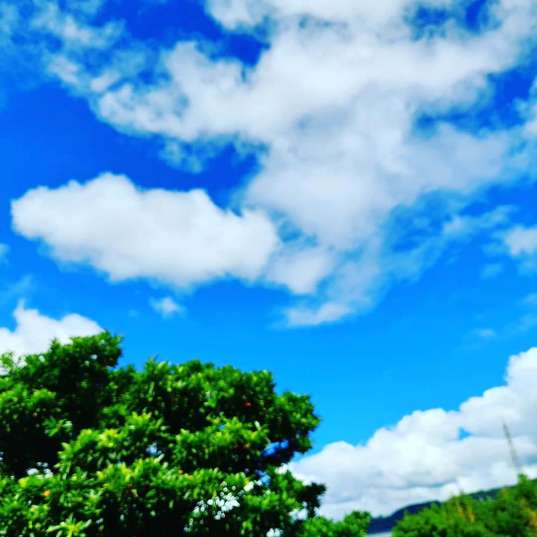 のインスタグラム：「#鹿児島  #せみのこえ   すごい😆⤴️  お盆も過ぎたので、  #トンボ　もいっぱい」