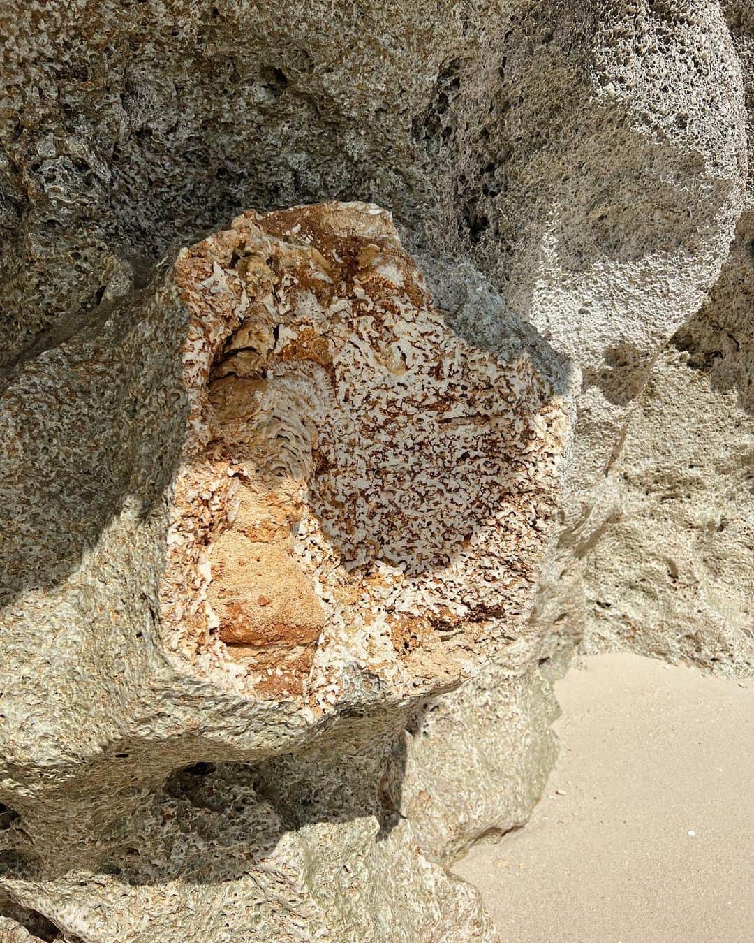 SAWAさんのインスタグラム写真 - (SAWAInstagram)「1ヶ月ぶりの海〜🤝  探検中に目についたここ👀  大きな岩の一箇所が欠けていて 断面丸見え😳  近くには恐らくその破片であろう岩🪨  こんなにも硬そうな岩を砕く波の威力に驚いたり、 断面のこれは珊瑚かなー貝みたいなのもあるね、 なんて言いながらのんびりな時間を過ごしました  気付けば貸切状態のビーチ⛱️  休日らしい過ごし方できた🫶  #宮古島 #宮古島の海 #beach」8月26日 10時36分 - teno_sawa
