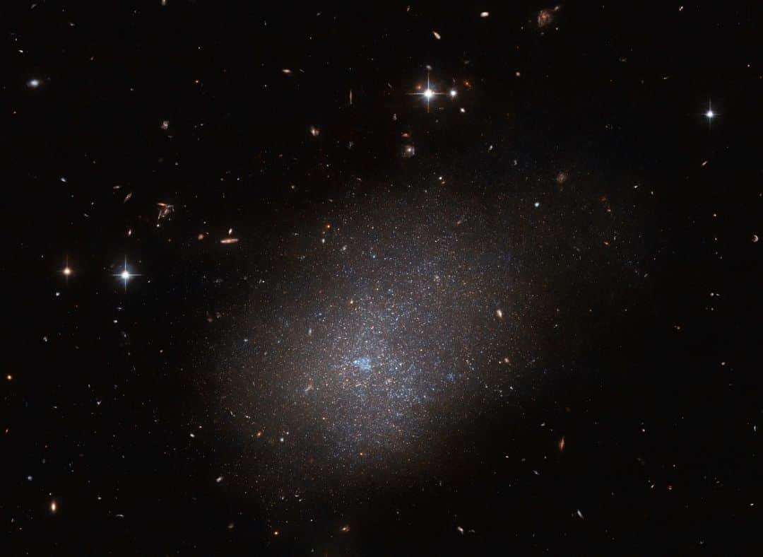 NASAのインスタグラム：「What a beautiful day in the neighborhood! This shimmering @NASAHubble image shows galaxy ESO 300-16, one of our "neighbor" galaxies about 28.7 million light-years from Earth.  Hubble has observed about three-quarters of the galaxies within about 10 megaparsecs around Earth, and a team of astronomers is surveying the remaining quarter of these "neighbors" during breaks in Hubble's observing schedule.  Learn more at the link in our bio about these galaxies and how Hubble helps us discover our universe, near and far away!  Image description: An irregular galaxy that resembles the shape of a cloud. It is made of many tiny stars all clumped together, surrounded in a diffuse light. In the central, brightest part there is a bubble of blue gas. The galaxy is surrounded by mostly very small and faint objects, though there are bright stars above and to the left of it, and a string of galaxies nearby.」
