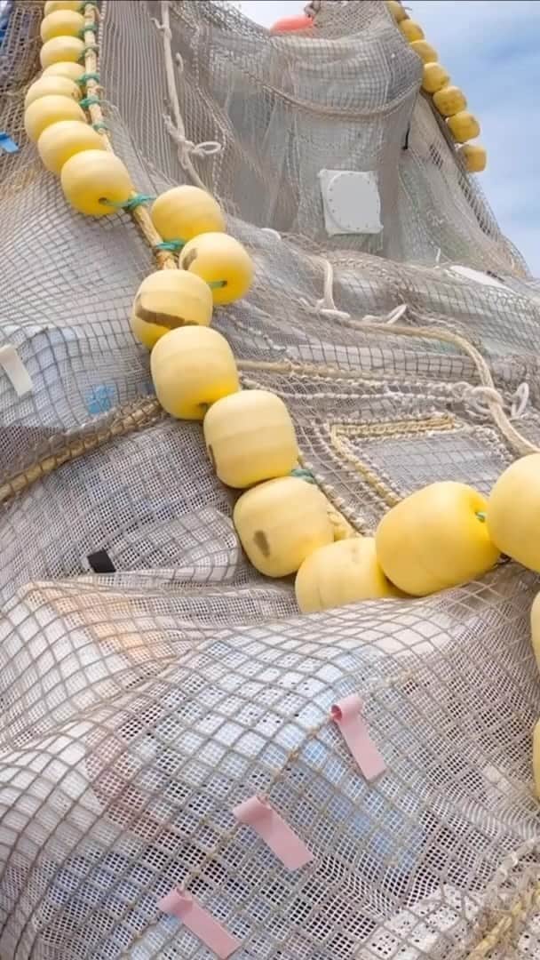 Araksのインスタグラム：「This month @OceanCleanup extracted 11,353 kg of plastic (over 25,000 pounds) out of the ocean… for good - the largest cleanup to date 🌊」