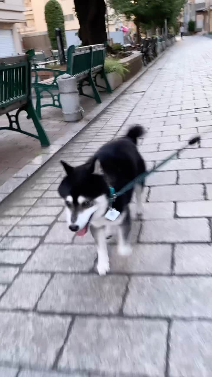 くろのグルメインスタ