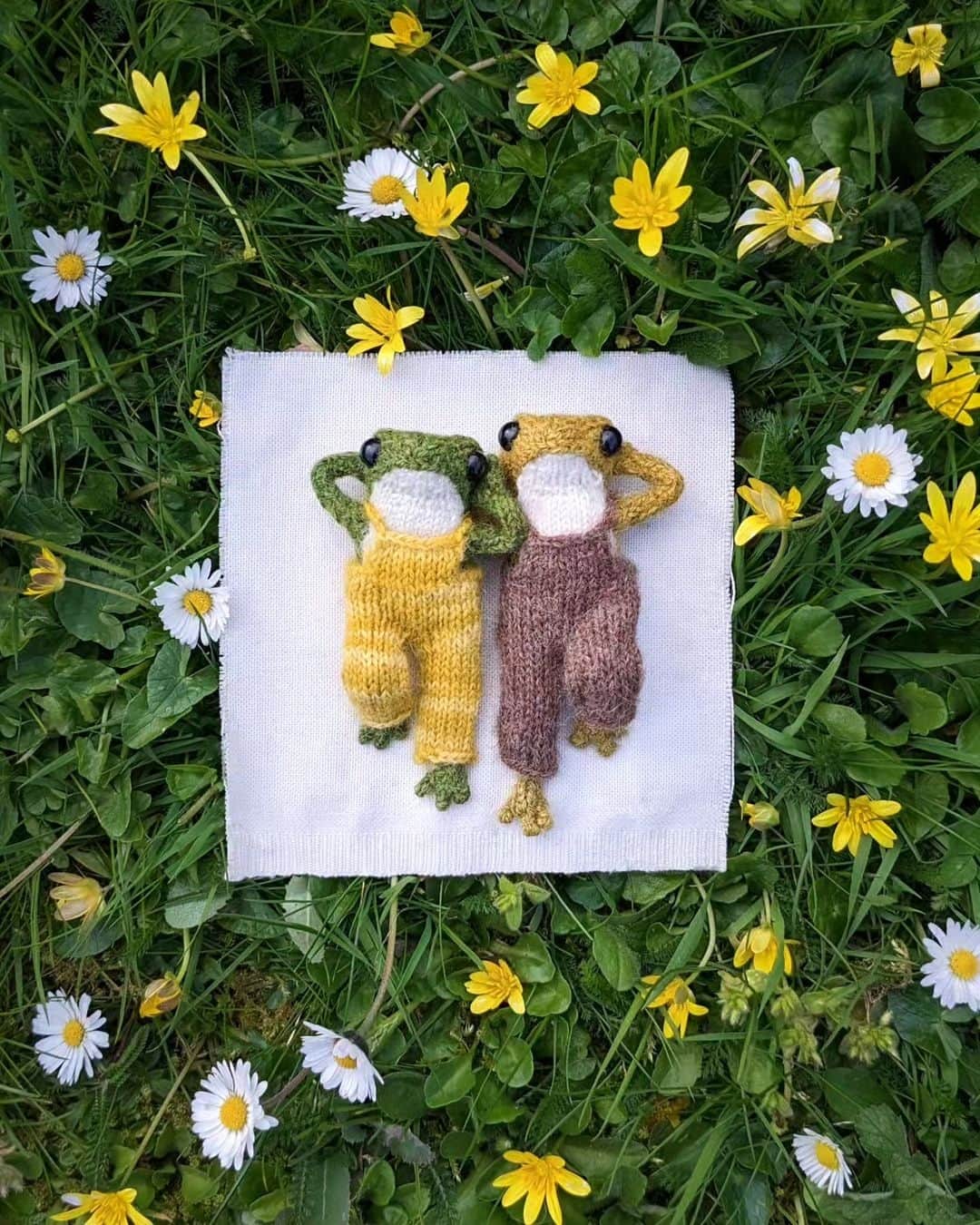 のインスタグラム：「obsessed is an understatement. if you haven't gotten lost in the wonderful, whimsical world of @indiarosecrawford's knitted frogs, go quickly!」