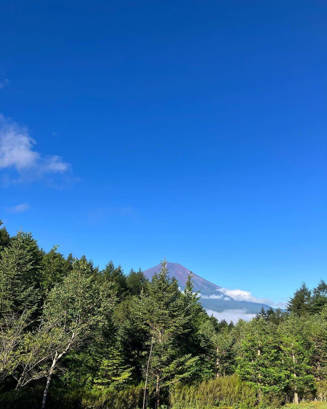 吉見佑子のインスタグラム：「部屋からも富士山。サンクチュアリブィラ　ラブシャ2日目がもうすぐ。」