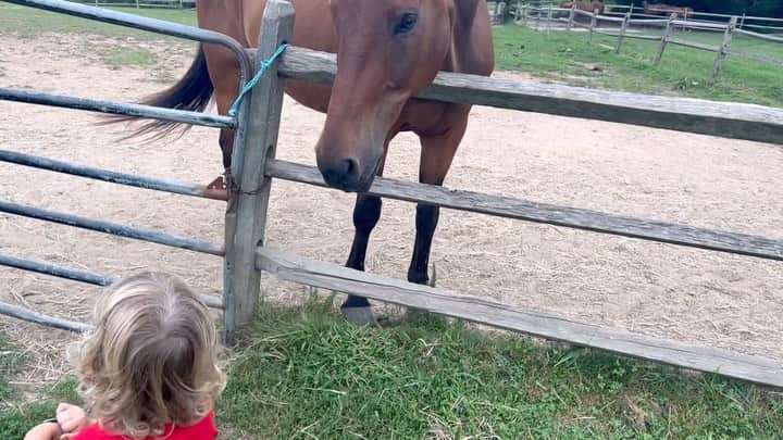 アレック・ボールドウィンのインスタグラム：「A boy and his horse and his snacks…」