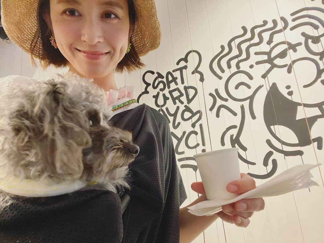 武田訓佳さんのインスタグラム写真 - (武田訓佳Instagram)「🐕‍🦺☕️♡ ・ ・ シティーガールひじき🩶💜 ・ ・ ・ #ひじき #犬のいる暮らし #🐕‍🦺 #🐶 #いぬすたぐらむ #cafe #ミックス犬 #mix犬 #ピンプー #ミニチュアピンシャー #トイプードル #たけだの日常  #イッヌ」8月26日 8時30分 - kunika0117