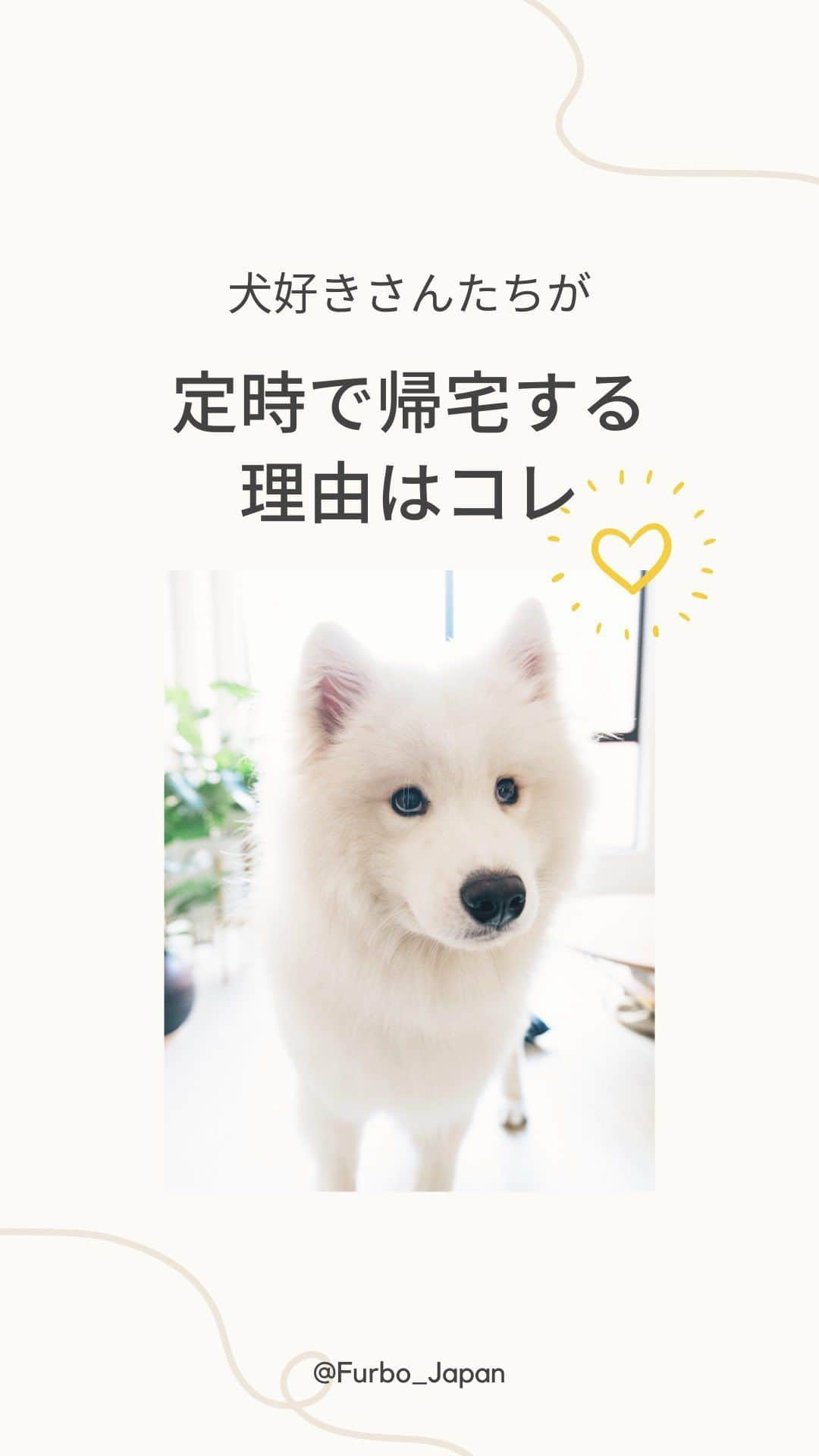 Furbo ドッグカメラのインスタグラム：「ペットと暮らすあなただけが知っている幸せ🤭💕  　Special Thanks to @arya.thesammie 💛    ⋯   Furboドッグカメラ360°ビュー本体🎥 & サブスク機能 “Furboドッグシッター”の ✨最安値セットプラン✨がおすすめ！🤩  プロフィールリンク🔗の 1番上のボタンをタップして🐕💓  ⇨⇨⇨ @furbo_japan      ⋯     #Furbo #ファーボ #ファーボは見た #ファーボでお留守番できるもん #ドッグカメラ #ペットカメラ #見守りカメラ #お留守番カメラ #ペットとの暮らし #ペットと一緒 #ペットと暮らす #ペットと暮らそう #大型犬との暮らし #子犬 #子犬のいる暮らし #パピー犬」