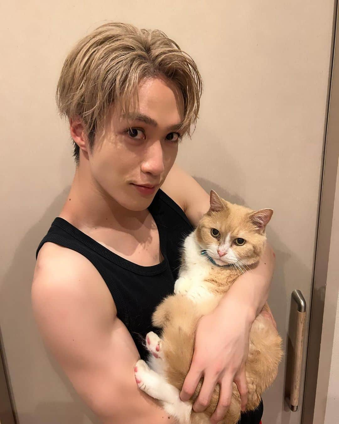 藤原樹さんのインスタグラム写真 - (藤原樹Instagram)「・ この前実家に帰った時🐈  マースのパパです🐱  #マース #猫 #ねこ #ねこすたぐらむ #にゃんすたぐらむ #ネコ #マンチカン #マンチカン短足  #catstagram #petstagram #kitty #instacat #meow #catoftheday #ilovemycat #instacat_meows #catstagram_japan」8月26日 19時13分 - itsuki_fujiwara_official