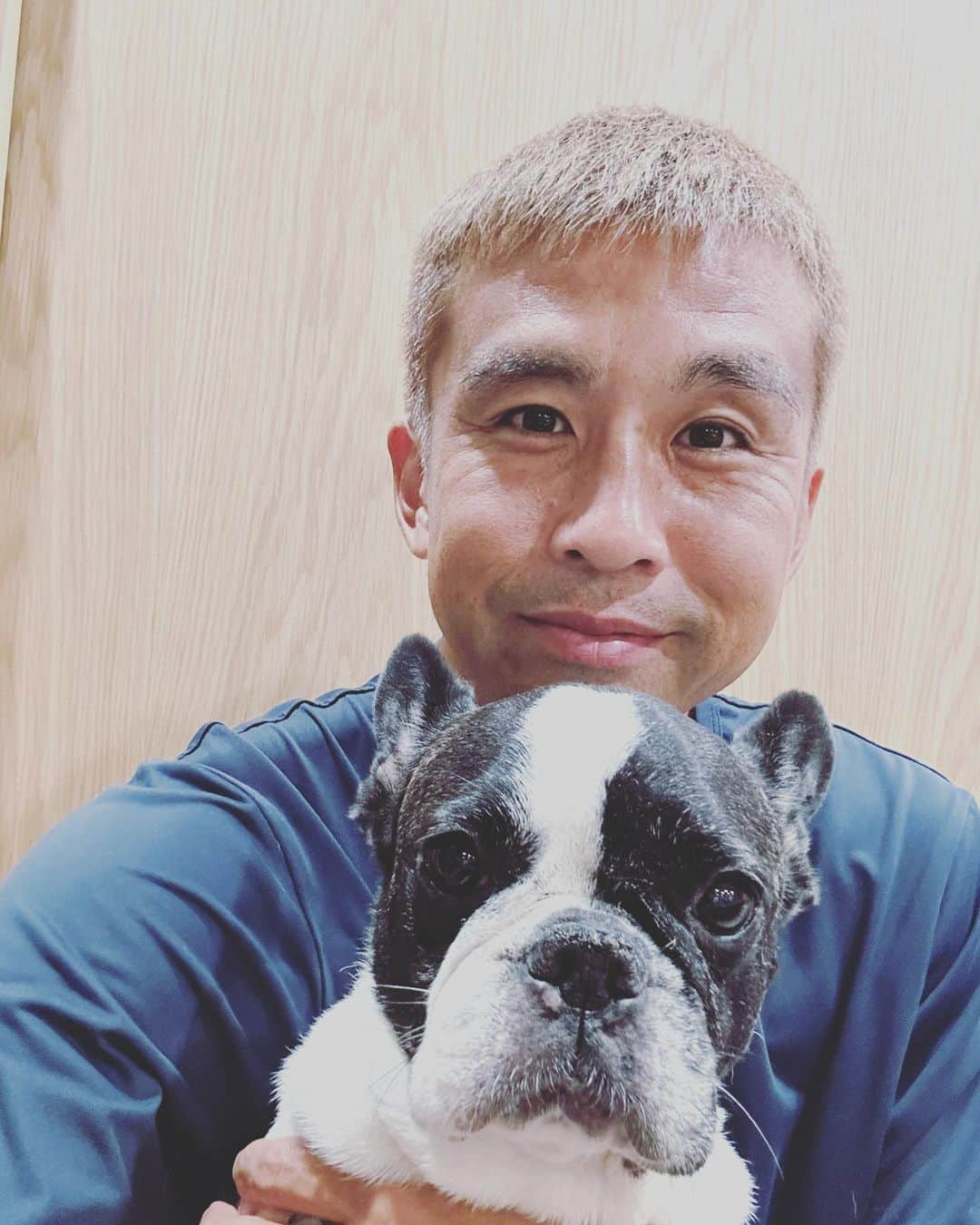 稲本潤一さんのインスタグラム写真 - (稲本潤一Instagram)「いつも子供達に追いかけ回されて怒ってるモフちゃんです😂🤣 長生きしてね🐶 #フレンチブルドッグ #モフ」8月26日 19時10分 - junichi_inamoto17