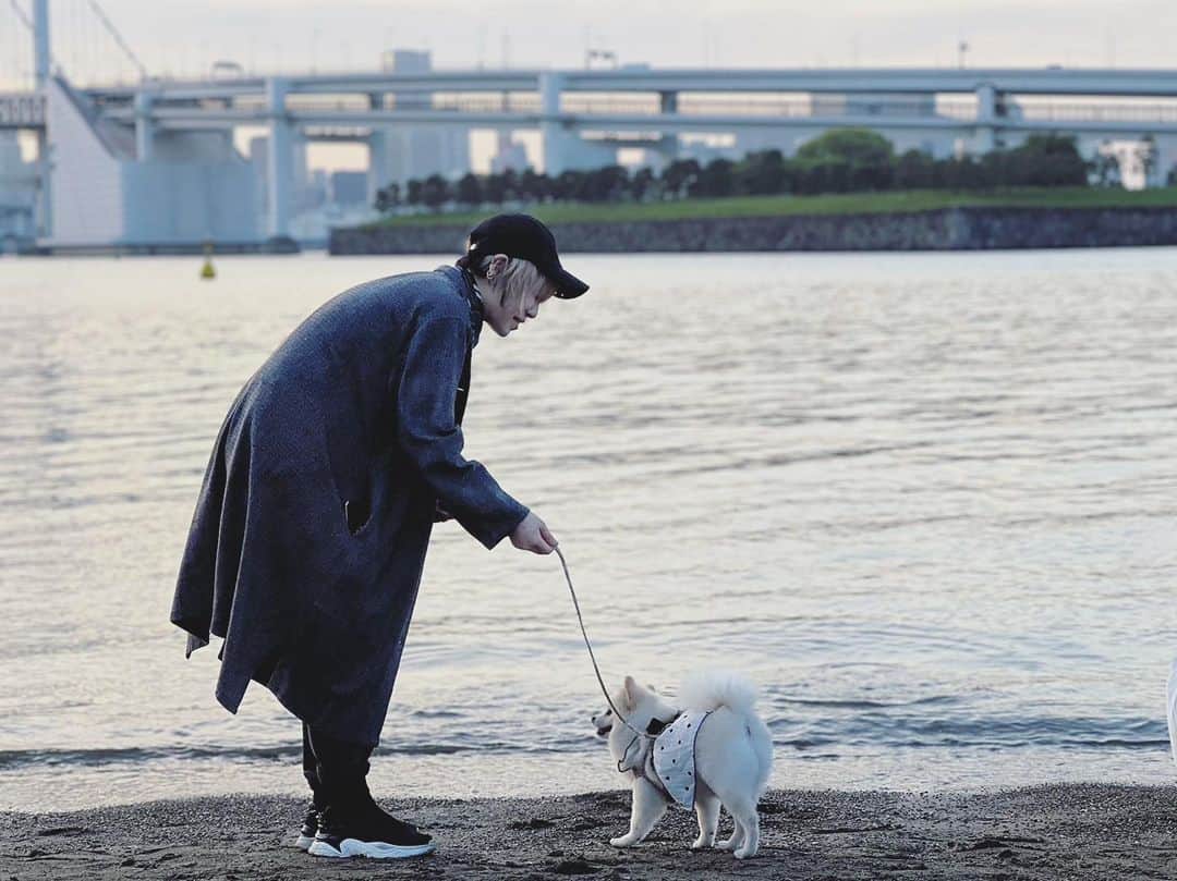 VALSHEのインスタグラム：「◢◣  もめんの誕生日 今日で5才になった レベルアップした！  何でそうなったのかわからないけど 今まで8月23日が誕生日だと思ってて 証明書見たら26日だったことがわかった  気が早かったな  もめめおめめ🎂」