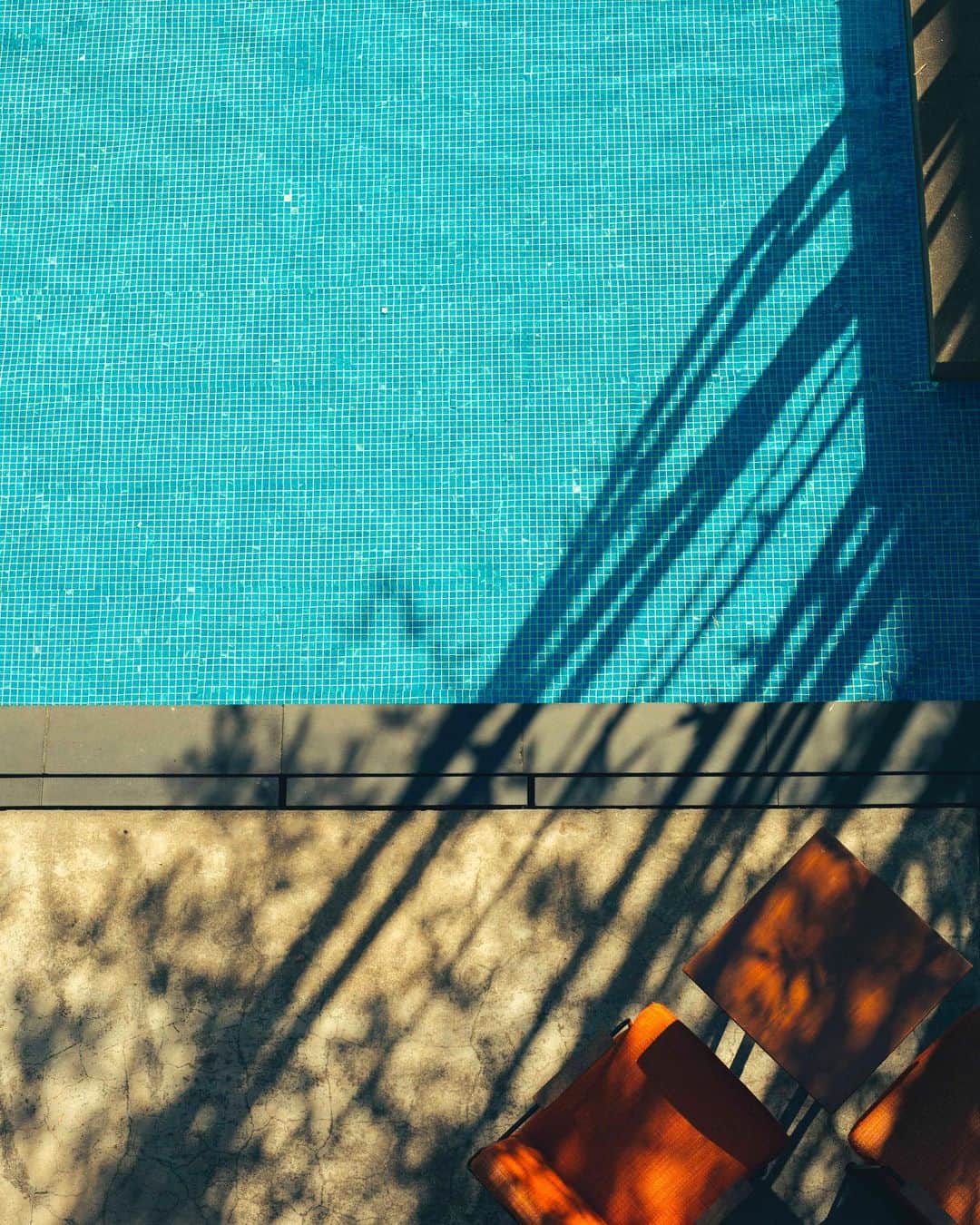 with the styleのインスタグラム：「⁡ ⁡ 【夏の果】 ⁡ 少しずつ朝夕の暑さも和らぎ あれだけ泣いていたセミの声も小さくなりました 夏の果は、夏の終わりを象徴する言葉で 過ぎゆく季節を惜しむ気持ちが込められています 皆様はどんな夏を過ごされましたか？ ⁡ 秋へ続くこの季節 良い夏の終わりをお過ごしください ⁡」