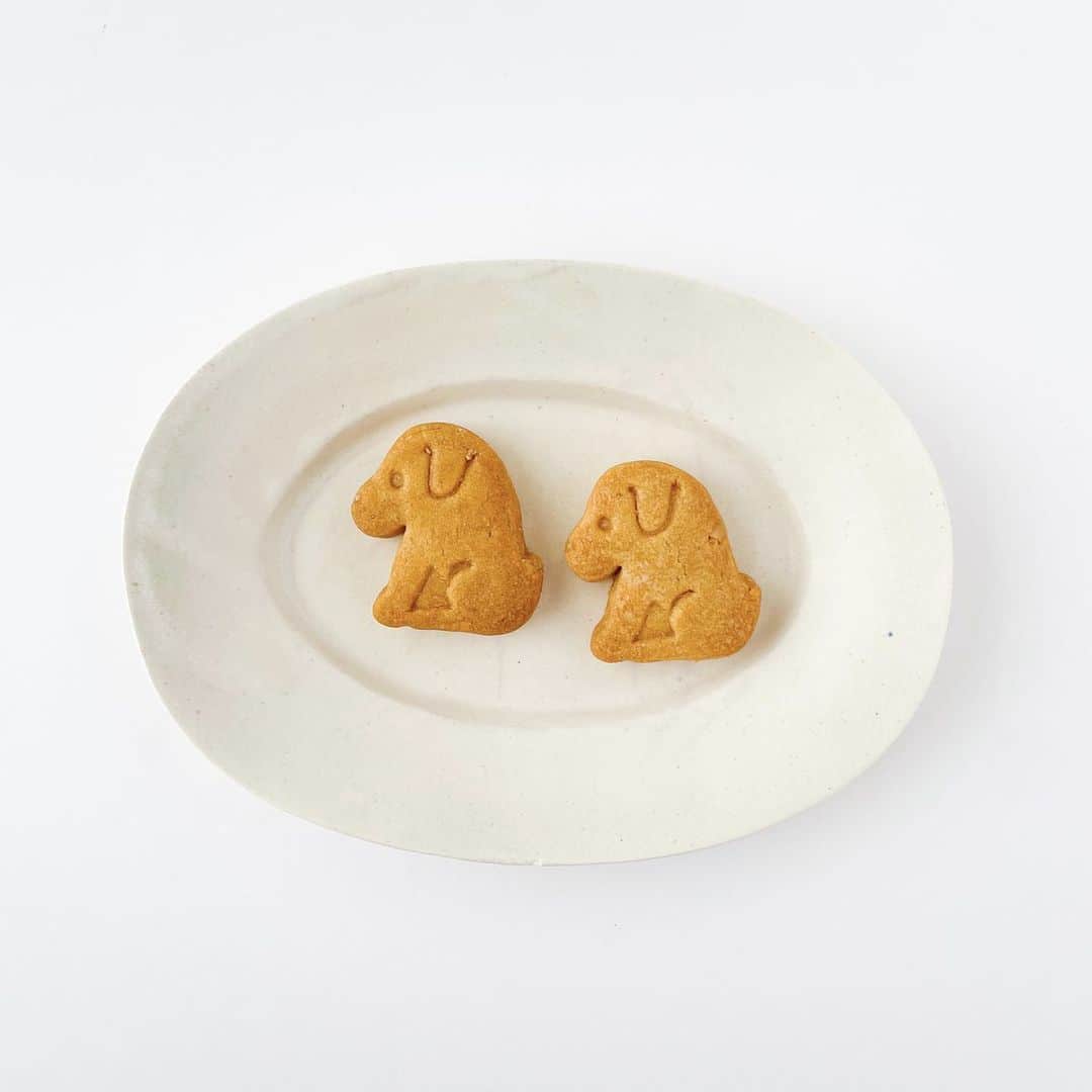 なかしましほ（foodmood）さんのインスタグラム写真 - (なかしましほ（foodmood）Instagram)「オンラインショップスタートしました。バターシフォンや甘夏のチーズケーキが新登場、レモンケーキは今回の販売でしばらくお休みとなります。 クッキーBOXはイエローのBOXに。ちいさなハル（犬）のピーナツクッキーや、メイプルグラノーラが入ります。」8月26日 12時14分 - foodmoodshop
