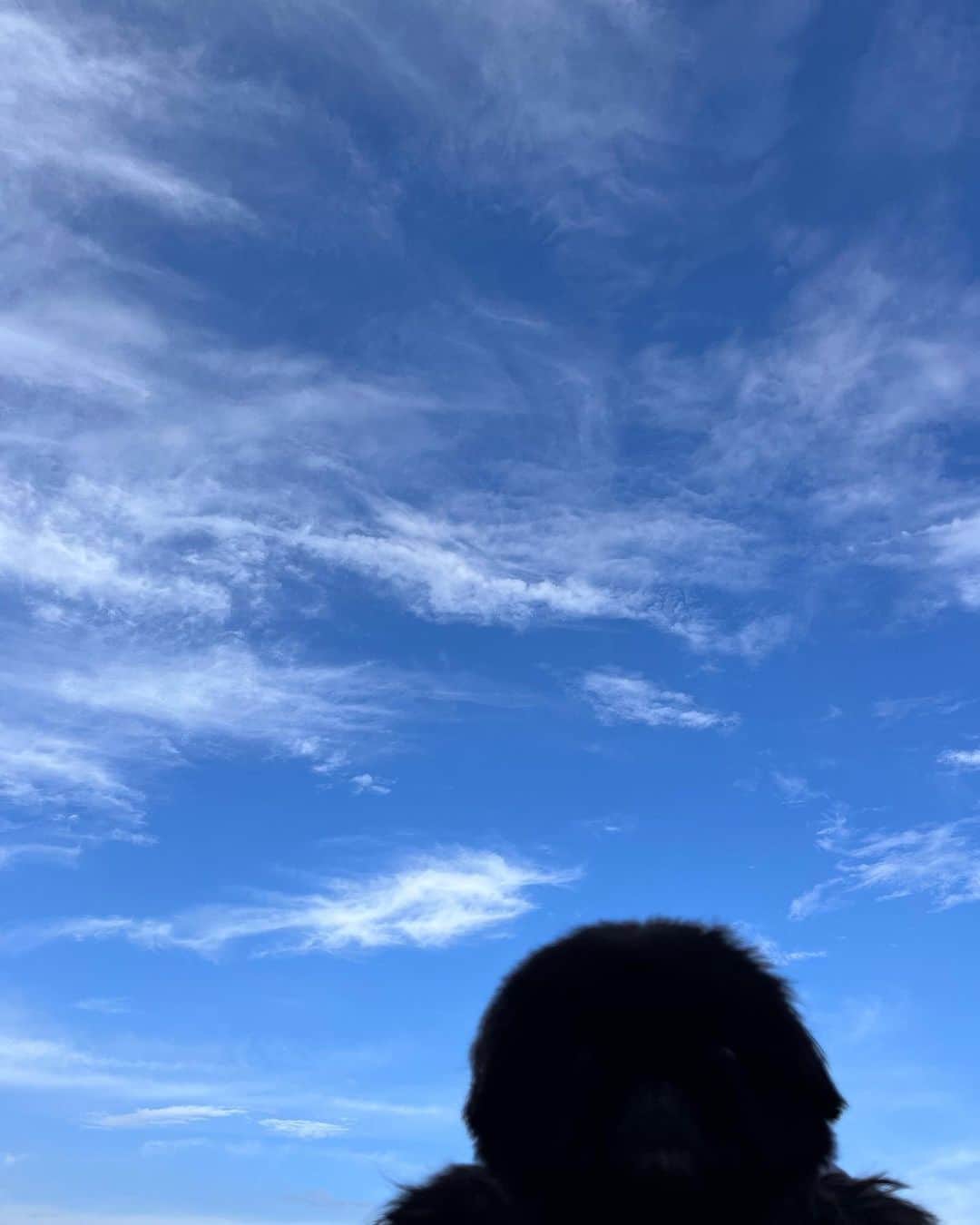 ソヨン さんのインスタグラム写真 - (ソヨン Instagram)「。 하늘 같은 유민이와 하늘 같은 thㅗㅇ강. 자기 하늘 같은 남편이라고… 걍 , 하늘 아래 나의 두 천사들 👼🏻 까만 천사 얼굴 보이는 사람?」8月26日 12時06分 - melodysoyani