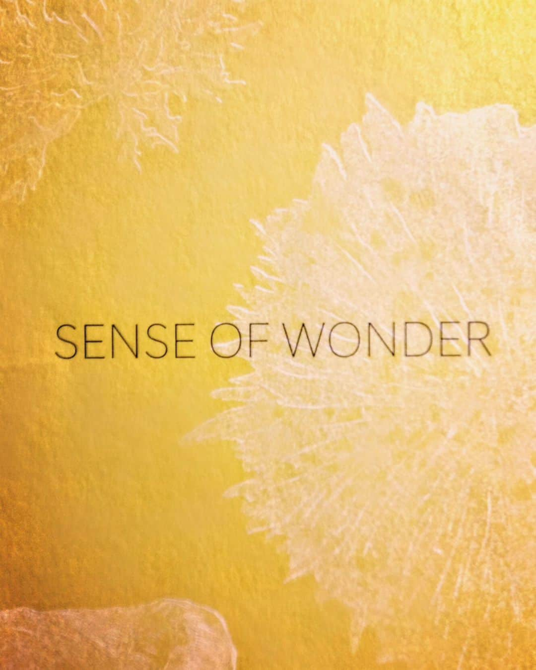 米良美一さんのインスタグラム写真 - (米良美一Instagram)「SENSE OF WONDER ー自然を愛するきもちー  先日大好きな画家で🎨 心友の児玉美音子さんが あるギャラリーへ お連れくださいました✨ そちらは🌜月森さん。  insta@tsukimori.miyazaki  宮崎県のほぼ中央に位置する 綾町(あやちょう)。 その町にある月森さんで、 御三方の作家さんの作品展が 現在開催されております。  2023.8/25fri.-9/2sat 11:00-15:00(close:8/29)  ”陶“は櫻井美奈子さん✨ ”切り絵“は濱田久美子さん✨ ”布“はやまぐちともみさん✨ どの御方の作品も 本当に素晴らしく😍 繊細で美しく 清らかなエネルギー感じる作品❤️  四つ目のスナップ📸 この日初対面の作家さんと。 向かって左から 陶芸作家の櫻井美奈子さん。 奈良の作家さんで 古代ロマンのお話に 二人ともアゲアゲ😆 そのお隣が月森のオーナー 櫛間瞳森子(ともこ)さん。 右端の方は 布の作家さん、 やまぐちともみさん。 ボクが身に着けてる 彼女の作品の白い布製バッグなんですが エレガントなコスチュームみたいに❗  三つ目の写真に収められた 至極繊細な作品は、 切り絵作家 濱田久美子さんの作品です。 繊細に細工が施された切り絵が、 標本箱の中へ 美しく列べられたかのように、 針で壁面に飾ってありました。 残念ながら 濱田さんとの記念写真💦 撮りそこねてしまいました。 ごめんなさい😔🙏  あ、美音子さん また素晴らしいご縁を ありがとうございました💖 それから撮影も👍  皆様の益々のご活躍 お祈りいたします✨ もちろんボクも 励んで参ります🔥  #児玉美音子 #イラストレーター #画家 #月森  #utsuwatsukimori  #senseofwonder  #櫻井美奈子  #陶芸  #濱田久美子  #切り絵  #やまぐちともみ  #布  #オススメ #歌手 #米良美一 #ありがとうございます」8月26日 12時59分 - la_melamela