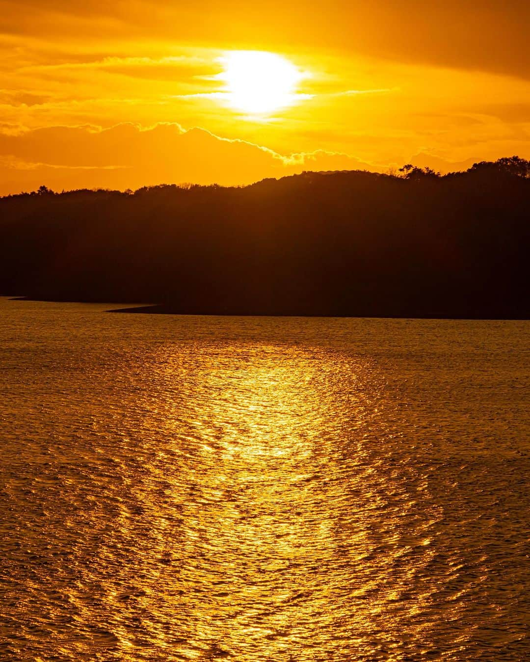 豊大槻のインスタグラム：「Camera: FUJIFILM X-H2 Lens: 120mm f10 1/1000 ISO200 ・ ・ 夕方、だいぶ過ごしやすくなってきたね ・ ・ 夕陽の色も秋ぽい色 ・ ・ #湖  #多摩湖  #夕方の風景  #夕日  #風景  #自然  #写真  #写真好きな人と繋がりたい  #カメラマン  #映像クリエイター  #ミラーレス一眼  #花が好き  #自然が好き  #癒し  #lake  #eveningview  #sunset  #view  #countryside  #country  #healing  #photo  #fujifilm  #photography  #nature」