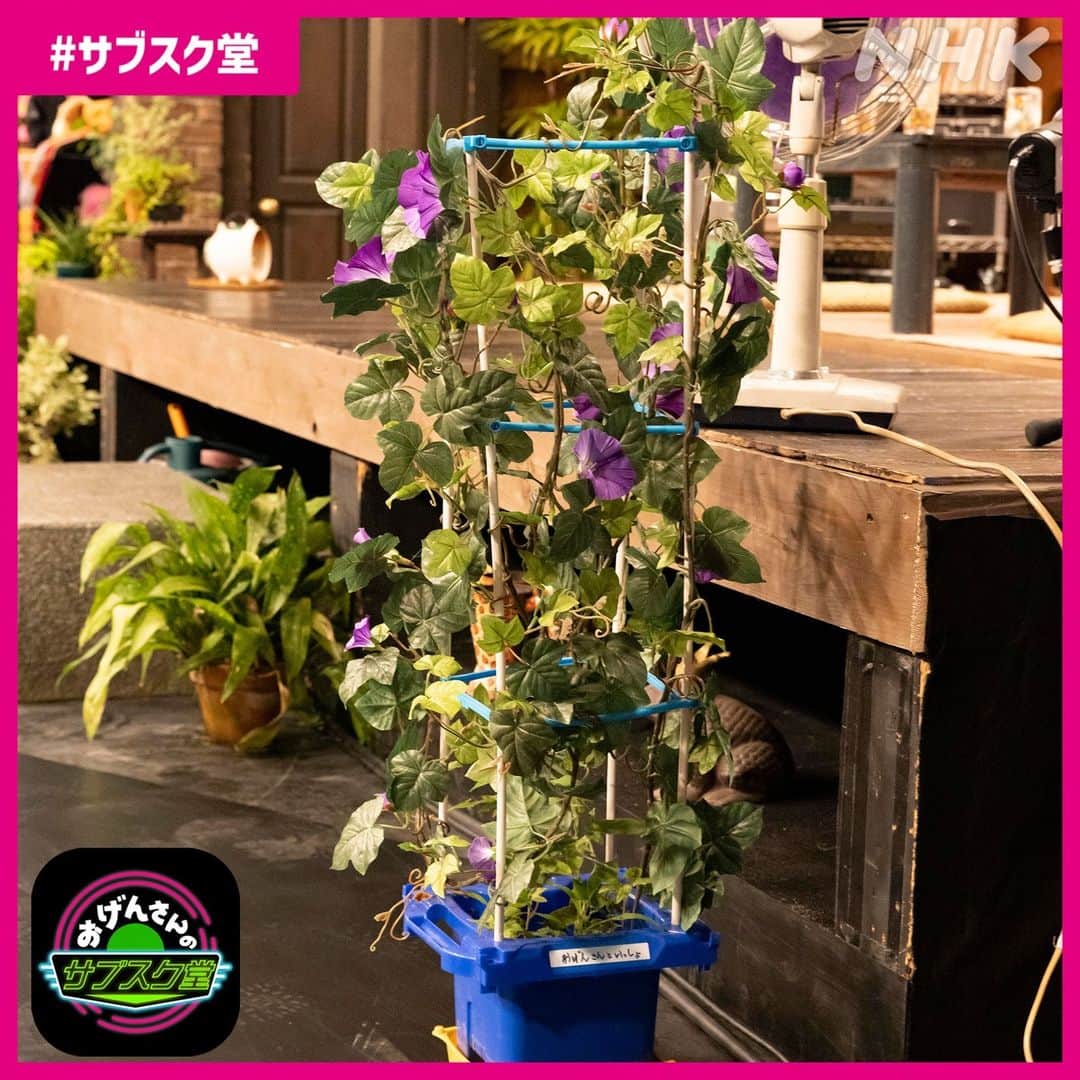 NHK「おげんさんといっしょ」のインスタグラム：「ねずみだよ～ʢ•·̫•ʡ   ゆづくん(#羽生結弦)との音楽のお話 盛り上がったね～✨  みんなで意気投合して、絆が深まってたよね。  「おげんさんのサブスク堂」 ひとまずこの夏はこれでお休み！ また元気で会おうね～！  放送から1週間はNHKプラスの見逃し配信で 何度も見ることができるから、番組HPから見てみてね～！  #おげんさん #サブスク堂 #星野源 #松重豊 #羽生結弦」