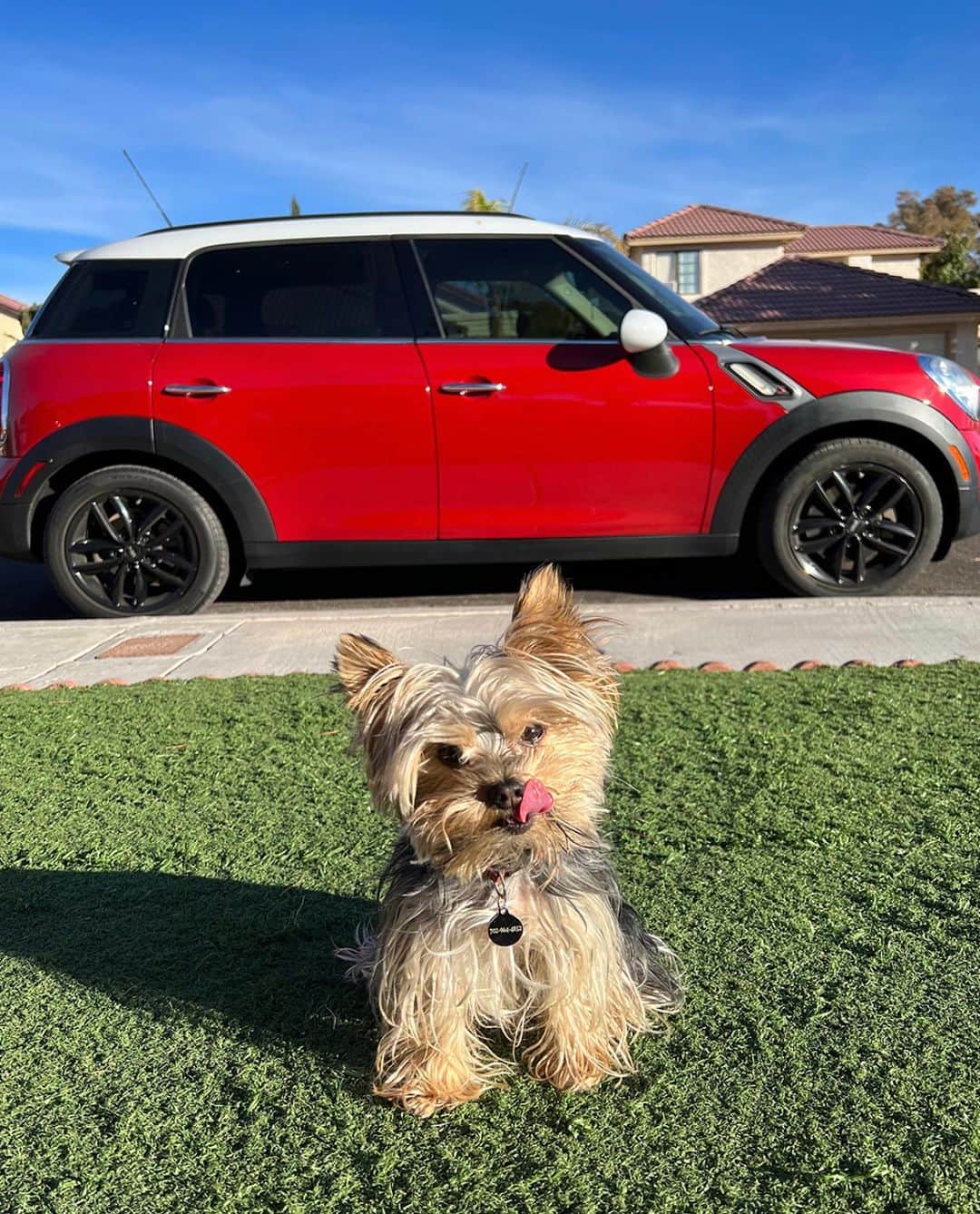 MINI Japanのインスタグラム