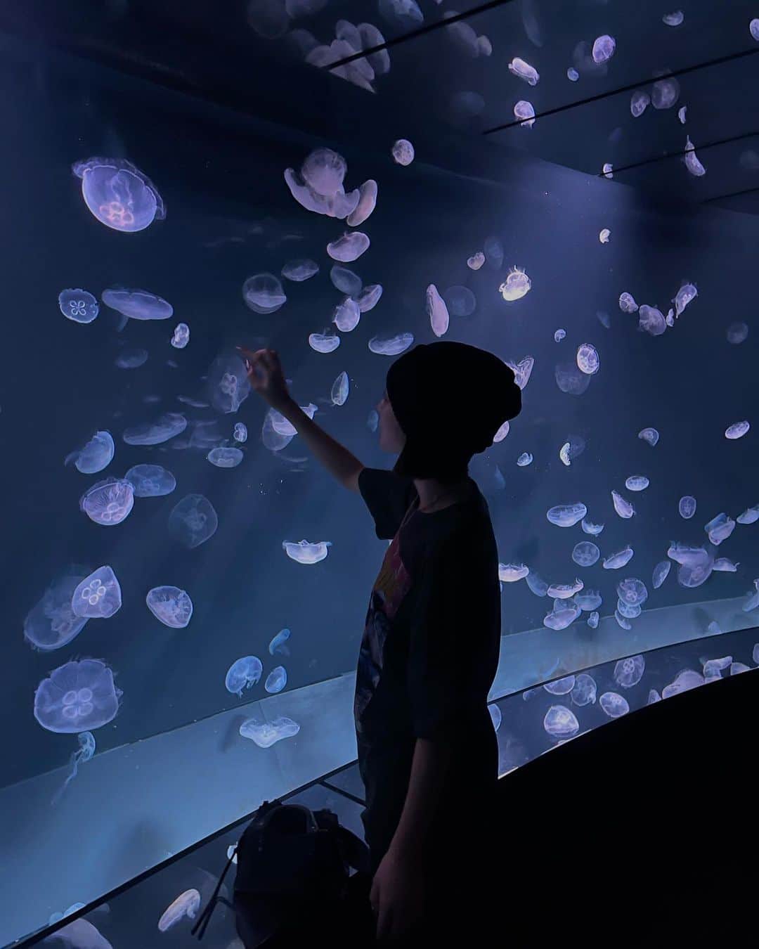 流川夕のインスタグラム：「癒され夕🐠 （いやされゆうぢゃねーよ）」