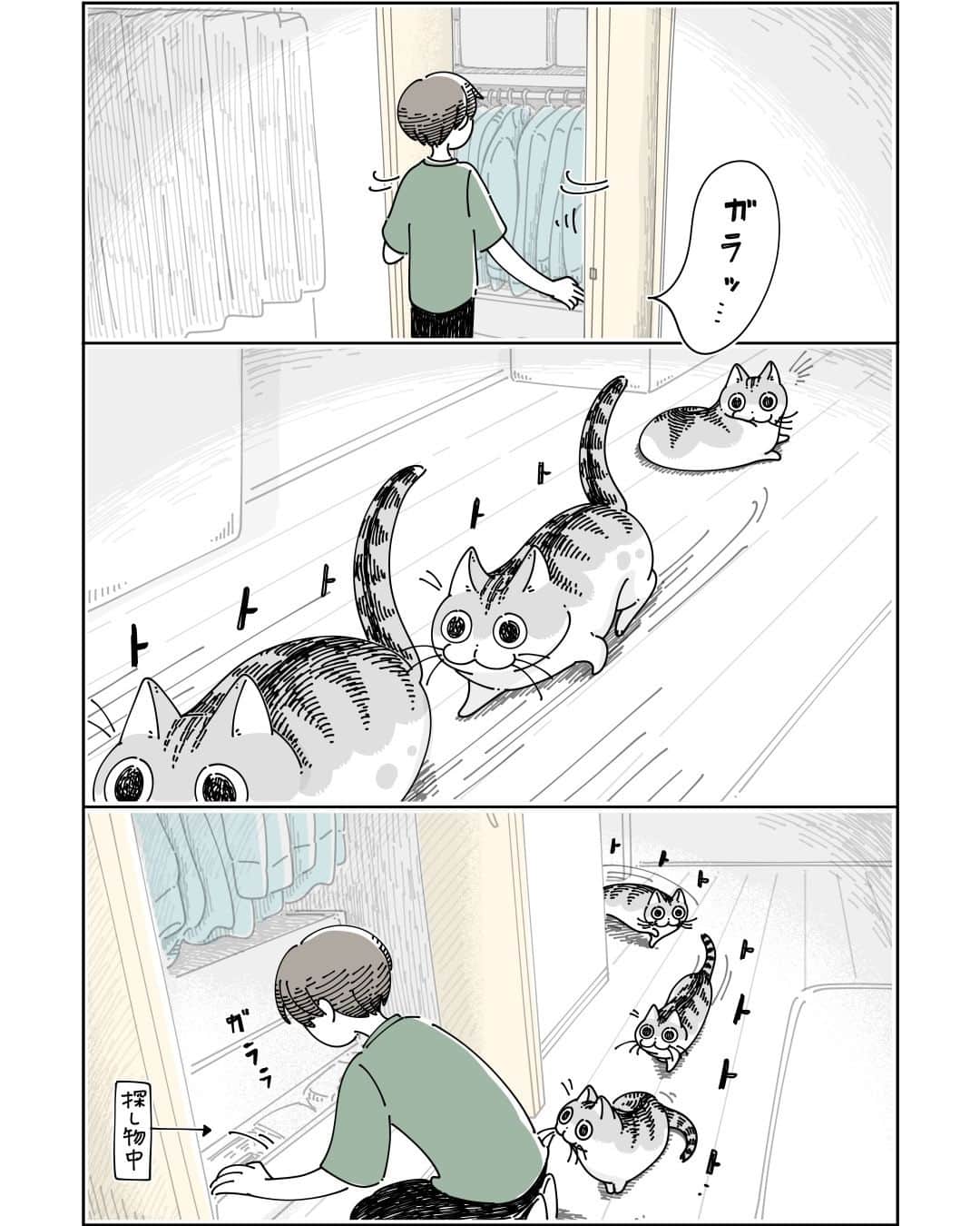 キュルZのインスタグラム