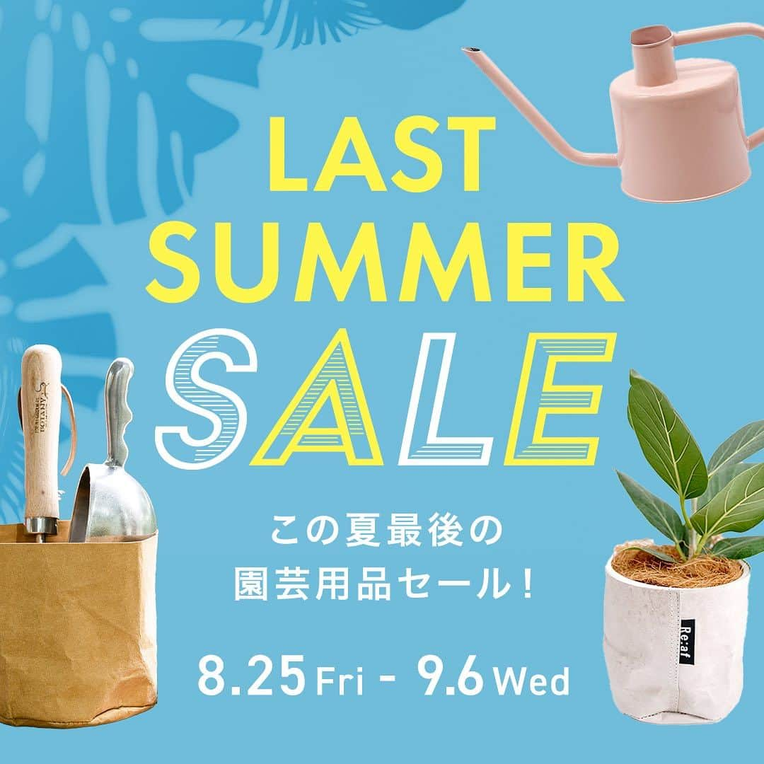 みどりで、つながる GreenSnapのインスタグラム：「この夏最後のお得なチャンス！ 園芸用品LAST SUMEER SALEが開催中！  GreenSnapオリジナル商品の「サステナブルな鉢カバー Re:af® (リーフ)」などの植物を彩る鉢カバー・植木鉢や、簡単に植物を育てることができる栽培キット等がとってもお得な限定価格に♪  開催期間：9月6日(水)まで  ▼SALE会場はハイライトから https://greensnap.co.jp/collections/engei_sale」