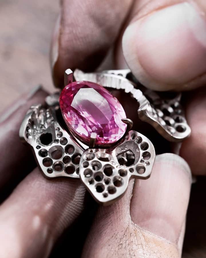 Chaumetさんのインスタグラム写真 - (ChaumetInstagram)「Crafted with passion and expertise, behold the exquisite Iris High Jewellery ring, a testament to our Maison's exceptional savoir-faire. The 8.14-carat spinel sourced from a new Tanzanian mine is turned into a delicate pink-hued bud. Embrace the feminine allure of irises, brought to life through our unparalleled virtuosity.⁣ #Chaumet #LeJardindeChaumet #ChaumetHighJewellery #ChaumetVirtuosity」8月26日 16時00分 - chaumetofficial
