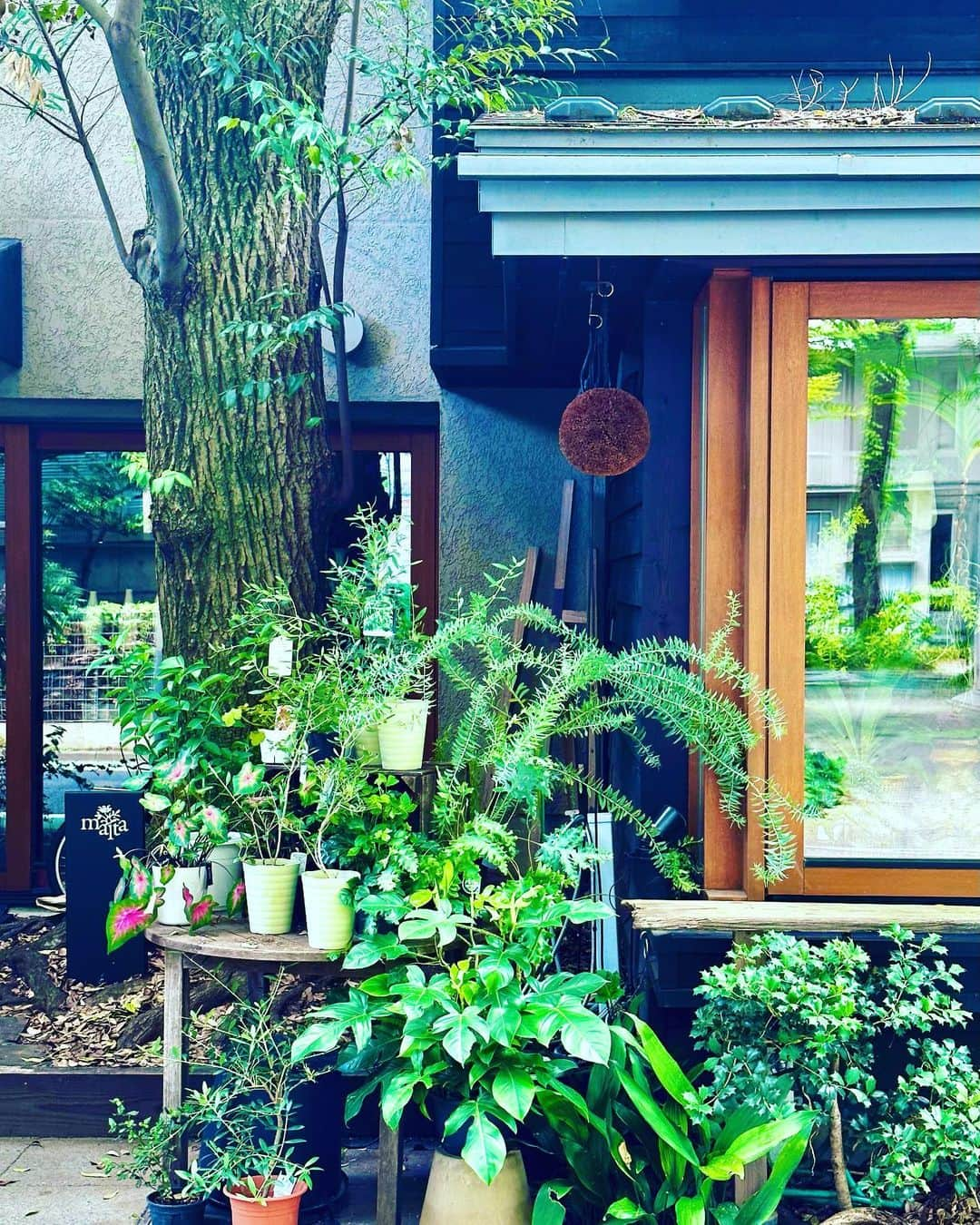 谷川じゅんじさんのインスタグラム写真 - (谷川じゅんじInstagram)「Strolling in the neighborhood. 思いつき散歩は世田谷羽根木。「亀甲新」「羽根木の森」「羽根木IGH」な一画。森と家が重なり合って支え合う生態系としてのまちづくり。営みの優しさと流れる記憶の時間の穏やかさ。こんな東京もあるんです。#goodvibesonly #goodneighbors #thisisjapan」8月26日 16時20分 - junjitanigawa