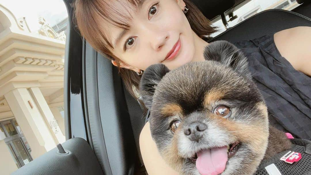 中村ゆりのインスタグラム：「National dog Days🐻🥰  『ナショナルドッグデーは、救助犬や警察犬、盲導犬など、我々の安全で快適な生活のために人生をささげてくれる犬をはじめ、人間を癒し、楽しませてくれるすべての犬たちに感謝する日とされています。さらに犬種による格差をなくし、すべての犬の幸せを願う日でもあります。』  😌🙏」