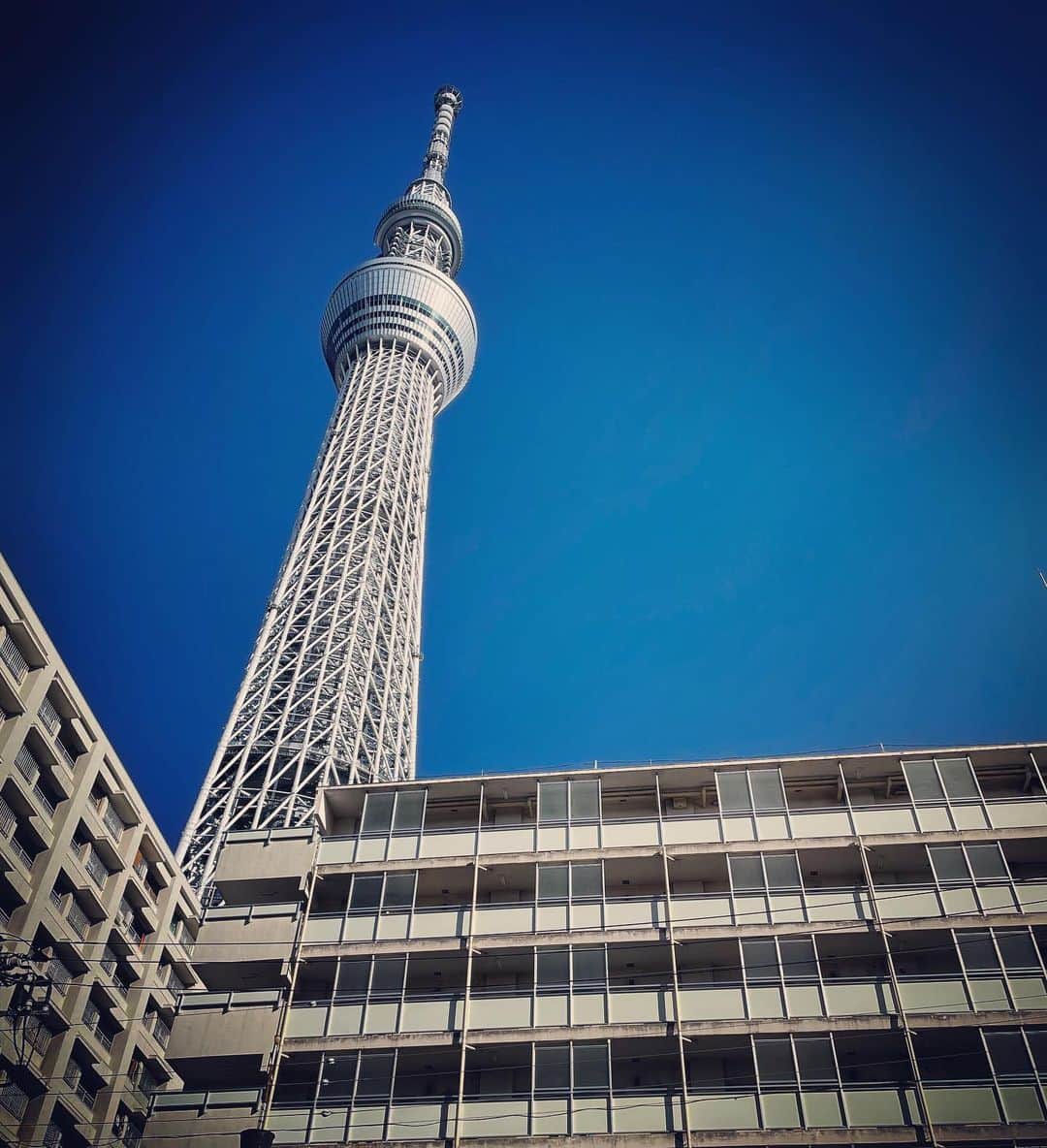 土橋安騎夫のインスタグラム：「スカイツリーと絶景隅田川」