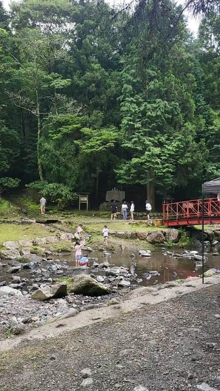 インゴのインスタグラム
