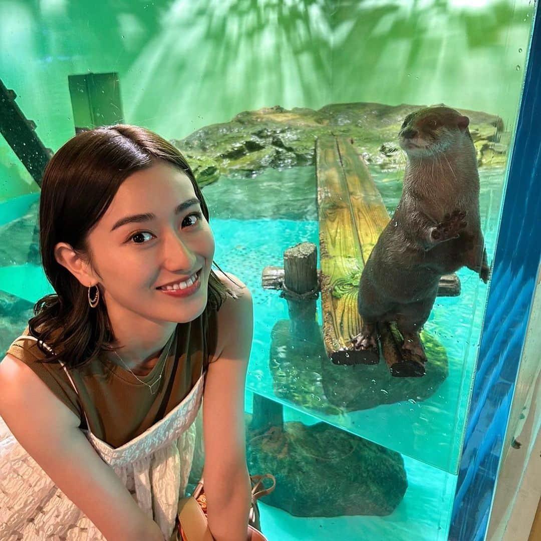 のインスタグラム：「⁡ 🦦ꕀ🦭」