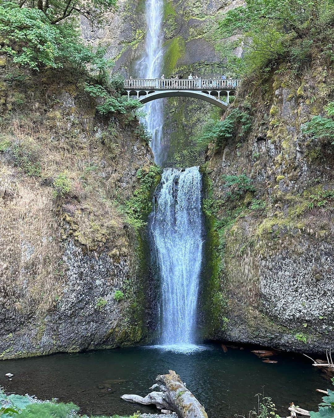イヴァンカ・トランプのインスタグラム：「Portland, Oregon 💚」