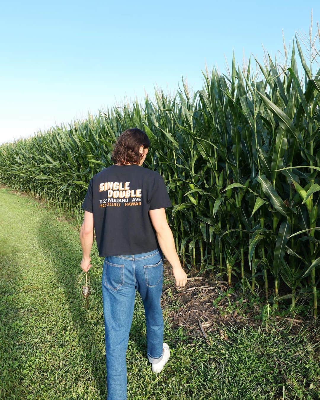 マイルズ・マクミランのインスタグラム：「Did you know an ear of corn has one silk stand for every kernel? Makes you think….」