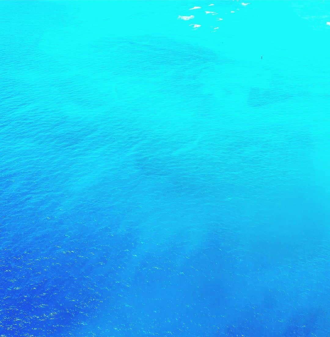 山崎美弥子のインスタグラム：「We are Blue わたしたちは青。」