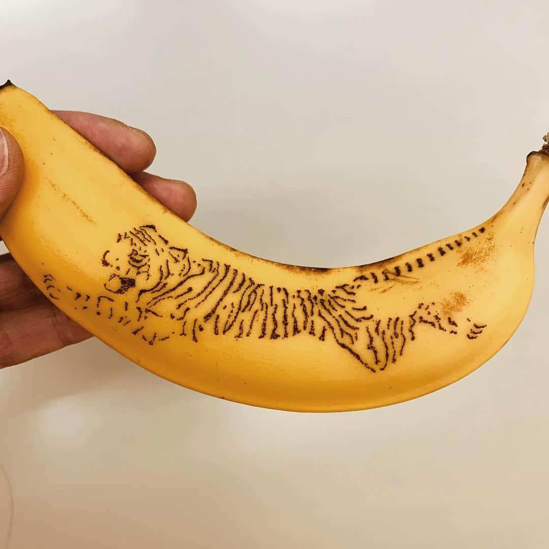 エンドケイプのインスタグラム：「No outline🐯 #bananaart #banana #tiger #art #バナナアート #バナナート #虎 #プレバト #輪郭なし  #アート  #エンドケイプ」