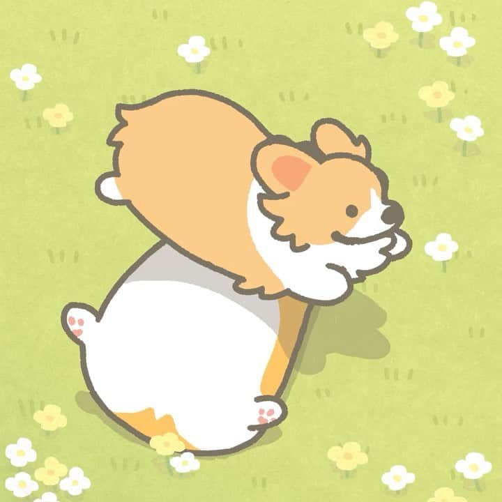 たきむらりゅうのインスタグラム：「Don't disturb a sleeping Corgi 🐾💤  #コーギー #犬 #絵 #アート #イラスト #アニメ #アニメーション #corgi #corgidog #dog #illustration #art #anime #animation #animals #painting #paint #drawing #科基 #柯基犬 #코기 #sleep #sleeping」