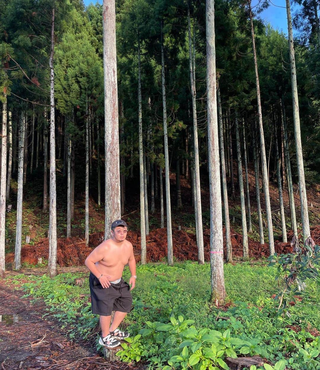 三浦崇宏さんのインスタグラム写真 - (三浦崇宏Instagram)「#forest  #village  #fairy  #kyoto #森林 #妖精 #京都 #instagood  #インスタグラムといえばたまに妖精が映り込むと聞いて」9月10日 9時06分 - takahiro3ura