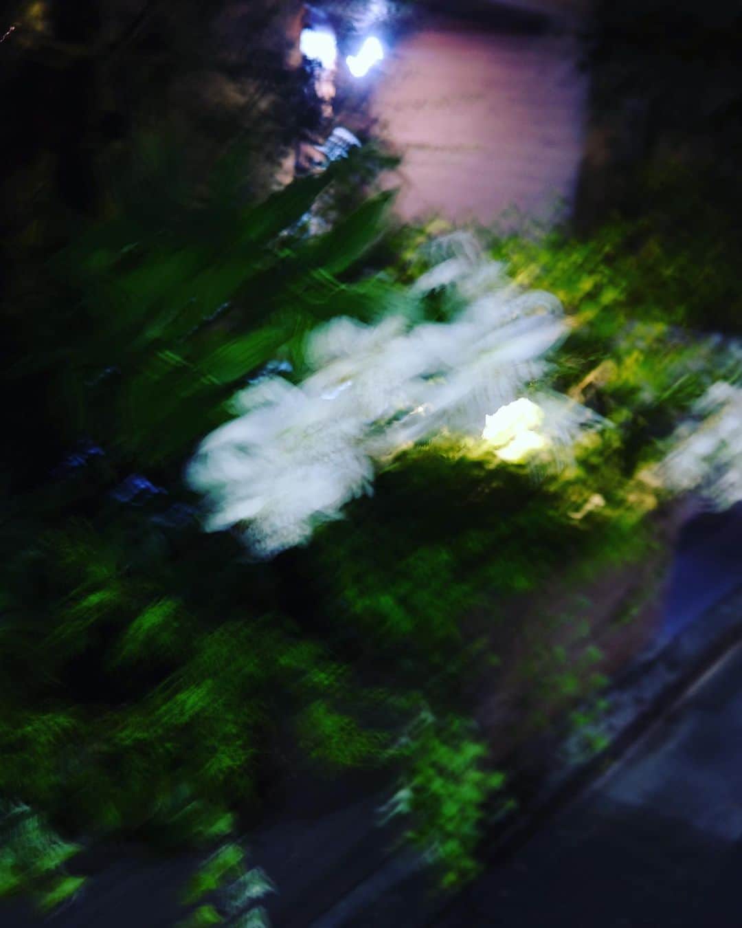 椎名直子さんのインスタグラム写真 - (椎名直子Instagram)「愛するマメカレーは6倍が絶妙〜❤️  かなり熱めです！ HOT！！」9月10日 9時13分 - natadecoco