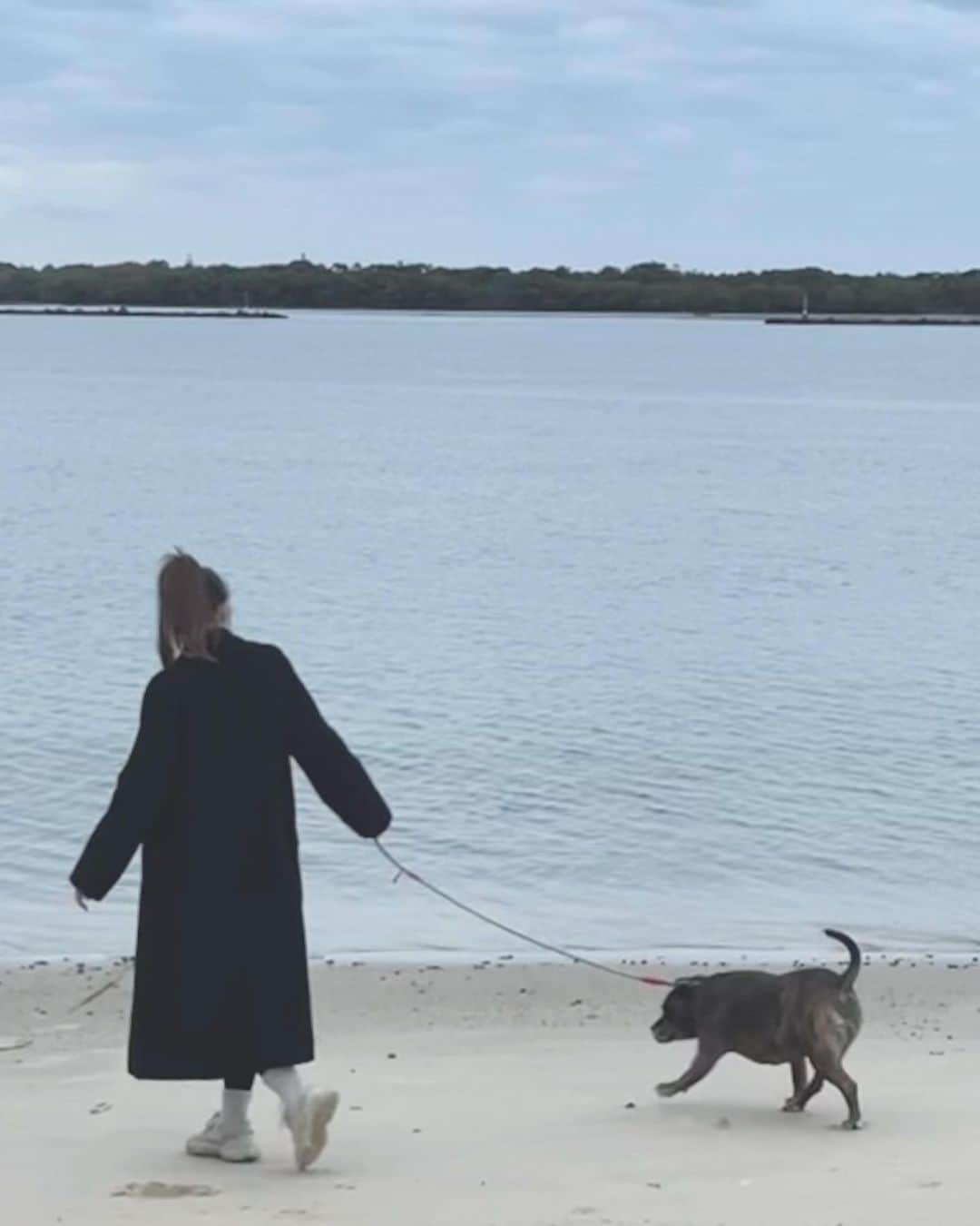 マイア・ミッチェルのインスタグラム：「Some bits and bobs, friends who are dogs xx」