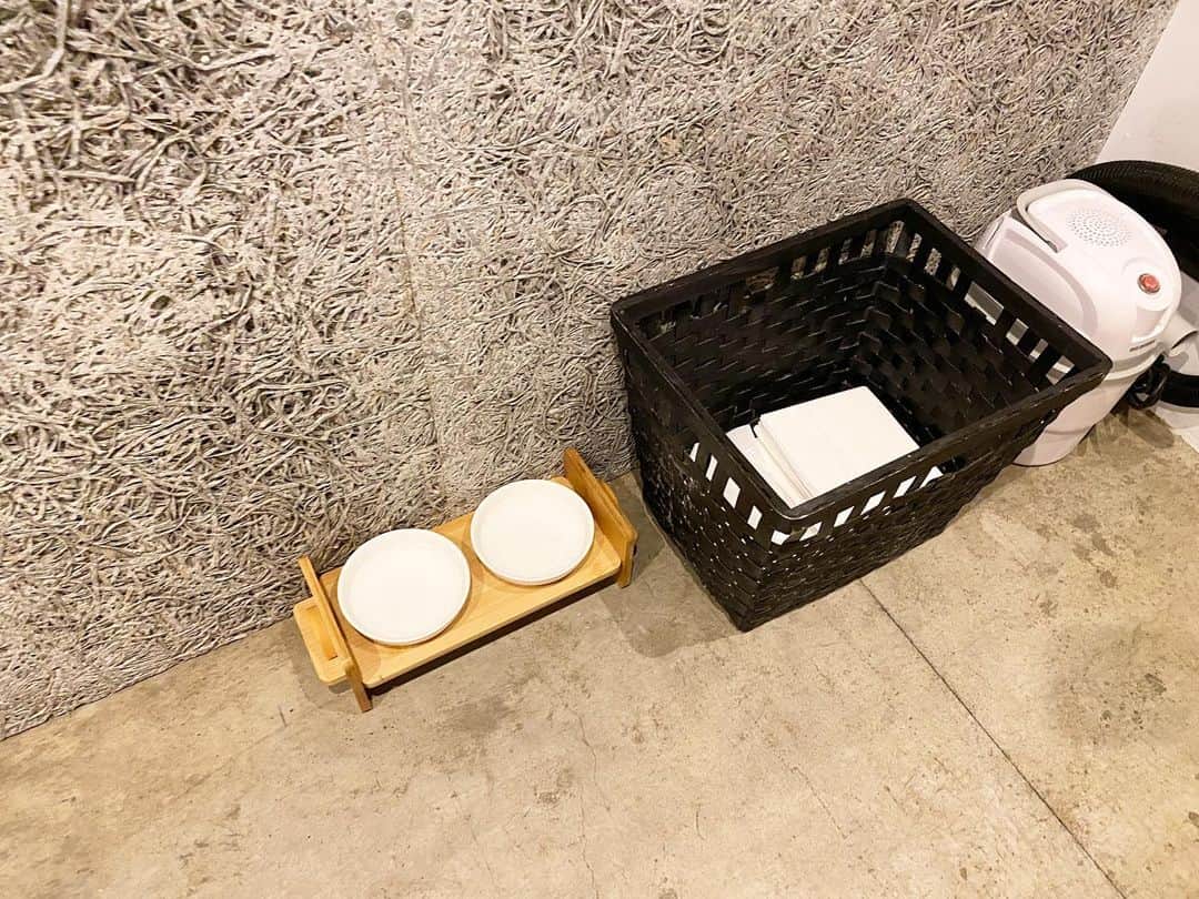 がんちゃんさんのインスタグラム写真 - (がんちゃんInstagram)「今回の福岡の旅で泊まったのは、最近よくある無人ホテルのmizuka daimyo4 ペットと泊まれるお部屋が1室だけあります。 シンプルな作りですが、広いベッドにミニキッチン、シャワーとトイレと夜寝るだけなら十分な設備。 床がコンクリート？なのも犬が滑らないしカチャカチャ音がしなくて良かったです。 中型犬15キロ以下2匹まで🆗と柴飼いにはありがたい。 飲屋街のど真ん中、便利すぎるくらい便利な立地で、夜中は少し外の音がしますが、快適でしたー🙌 駐車場はないのでコイン🅿️です。  #福岡犬連れ旅行  #犬と泊まれるホテル  #犬と泊まれる宿」9月10日 10時03分 - kota2ann
