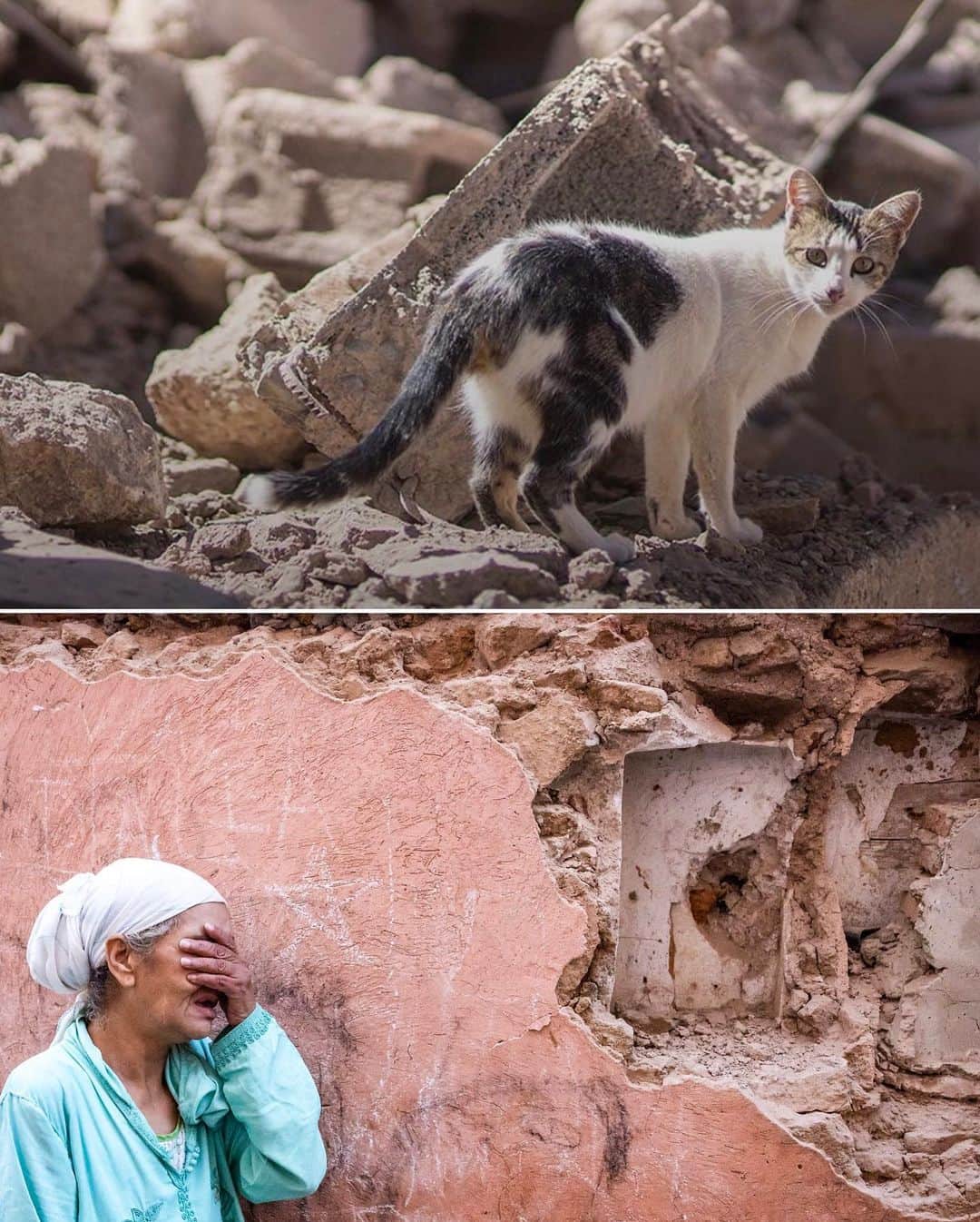 ティモシー・サイクスさんのインスタグラム写真 - (ティモシー・サイクスInstagram)「Repost from @karmagawa ⚠️ SAD BREAKING NEWS, PLEASE SHARE, PRAY FOR SURVIVORS AND DONATE TO NEW OUR FUNDRAISER TO HELP MOROCCO!⚠️ At least 2,012 people have been killed with another 2,000+ injured — more than 1,400 of them critically — after a 6.8 magnitude earthquake just hit Morocco, the strongest earthquake to hit this area in more than a century. Search and rescue efforts intensified on Saturday night, nearly 24 hours after this deadly earthquake as first responders struggle to reach survivors in time and emergency teams raced to prevent more deaths in remote mountain villages. Please join us in praying for more survivors and use your social platform for good by sharing this sad news with your followers and tagging celebrities, influencers and news media too who also need to see/share and donate to the new @karmagawa and @savethereef fundraiser to get urgent aid for these communities that need food, clean water, medicine & temporary shelters for the survivors so please share and donate what you can because MOROCCO NEEDS OUR HELP RIGHT NOW! #helpmorocco #moroccoearthquake #prayformorocco #savethereef #karmagawa」9月10日 10時43分 - timothysykes