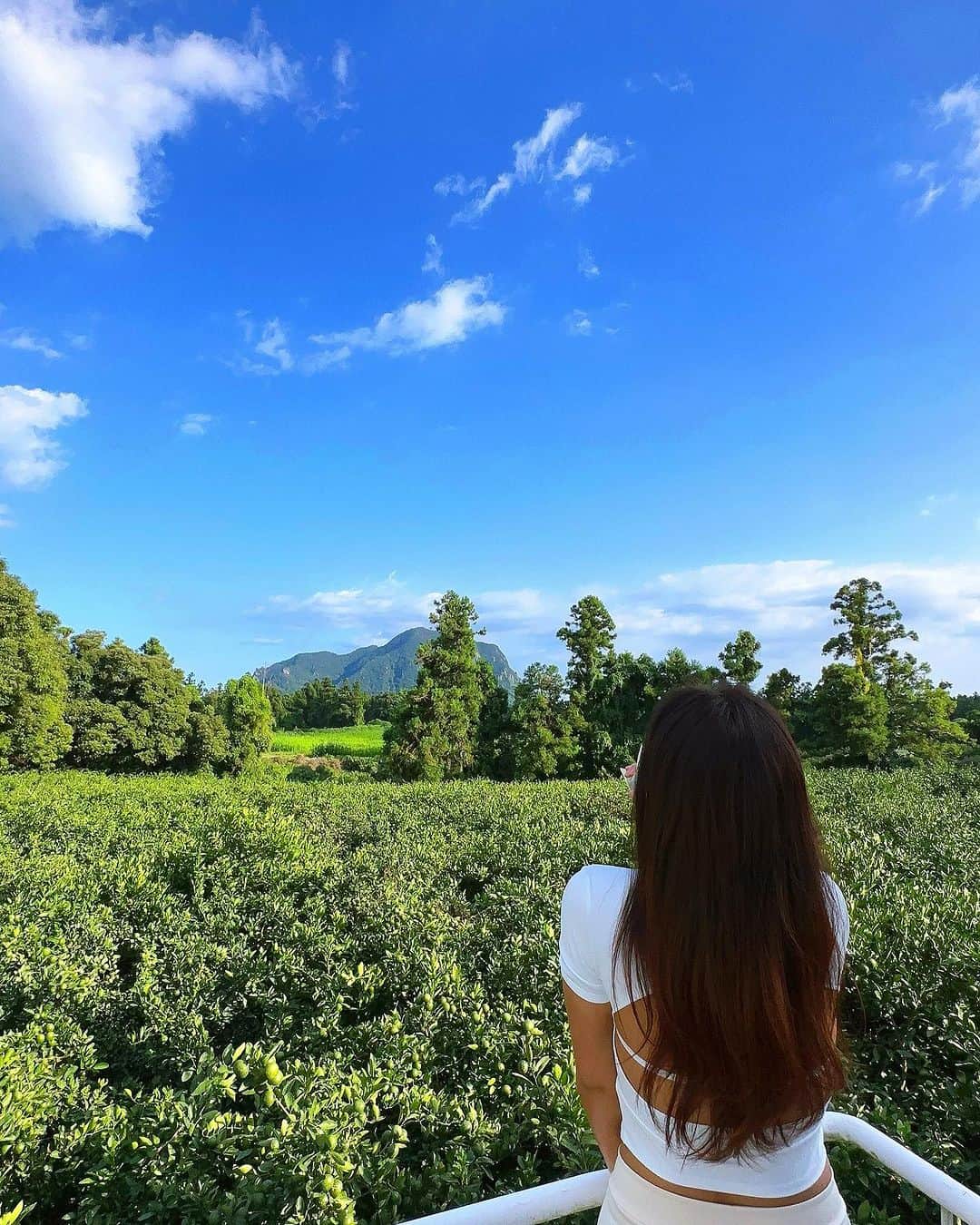 チン・ジェヨンのインスタグラム：「. 🌲🌳🌿🔋   #진재영일몬도jeju」