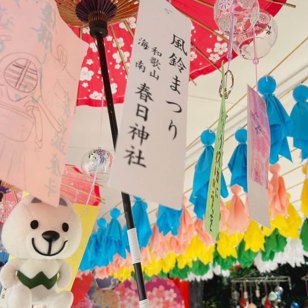 きいちゃんのインスタグラム：「. きいちゃん海南市にある春日神社と伊勢部柿本神社に行ってきました！ どちらも境内の装飾がとっても素敵で、 きいちゃんも可愛く写真が撮れたみたいでよかったね💗✨  2023/08/11撮影 ＃和歌山　＃wakayama　＃海南市　＃春日神社　＃伊勢部柿本神社」