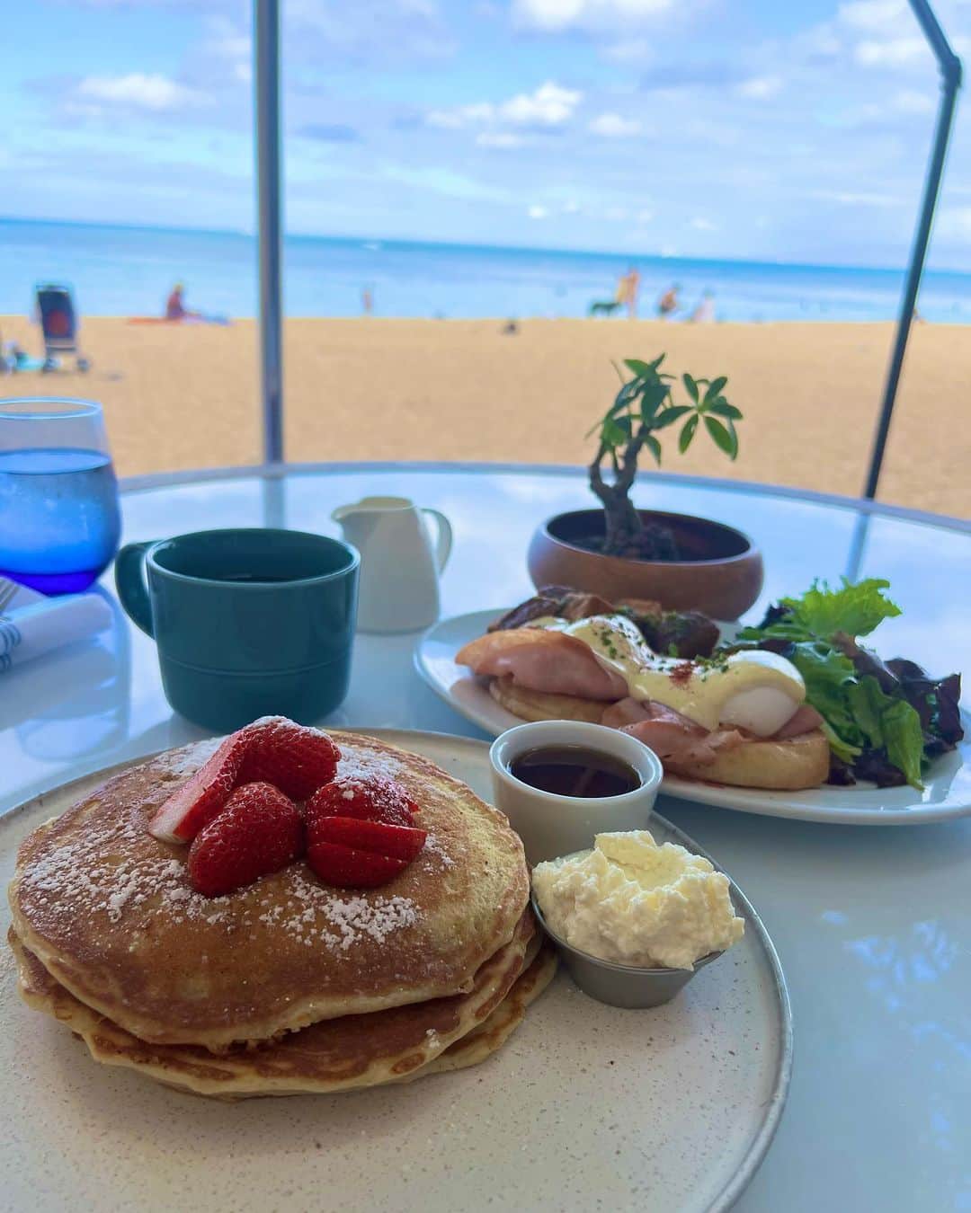 森雅子さんのインスタグラム写真 - (森雅子Instagram)「✨✨  ハワイ旅行の続き🌺  行ってみたかった絶景レストランで 朝ごはん✨  カイマナビーチホテルにある レストラン『ハウ・ツリー』  @thehautree   ロビーから可愛いくて テンションが上がる😊  全席オーシャンビューの レストラン正面には 樹齢200年以上のハウツリー。 その前には青い海✨  事前に予約しておいたので 海が目の前の席に案内してもらいました。  1番人気のエッグベネディクトは主人が。 私はレモンリコッタパンケーキを食べました。  ２つともなんて美しいフォルム！ 海をバックに写真を撮って さらにハワイに来た実感が湧いてきました。  パンケーキは甘さ控えめで リコッタチーズクリームとレモンの 爽やかさ＆メープルシロップの甘さ バランスが良い💕  エッグベネディクトは結構濃厚で ボリュームがあったみたいですが 主人はぺろっと食べてました😊  波の音と、海辺で泳いだり寛ぐ人達を 見ながら最高な朝食タイムを過ごせました。  私達はレンタカーで行きましたが ほんとオススメ。 また行きたいなぁ💕  レストランから見える 海辺の様子も素敵なので よかったら動画も見てね。6枚目→  ・ ・  #hautree #ハウツリー #カイマナビーチホテル #エッグベネディクト　 #パンケーキ #ハワイ　 #ハワイグルメ #ハワイ旅行 #ワイキキ #オアフ島 #ハワイ旅 #海外旅行 #ハワイ観光 #ハワイレストラン　 #絶景レストラン #Hawaii #hawaiistagram #instahawaii  #旅女 #旅女子 #旅好き女子  #ハワイおすすめ  #kaimanabeachhotel」9月10日 11時50分 - mako_marie_an