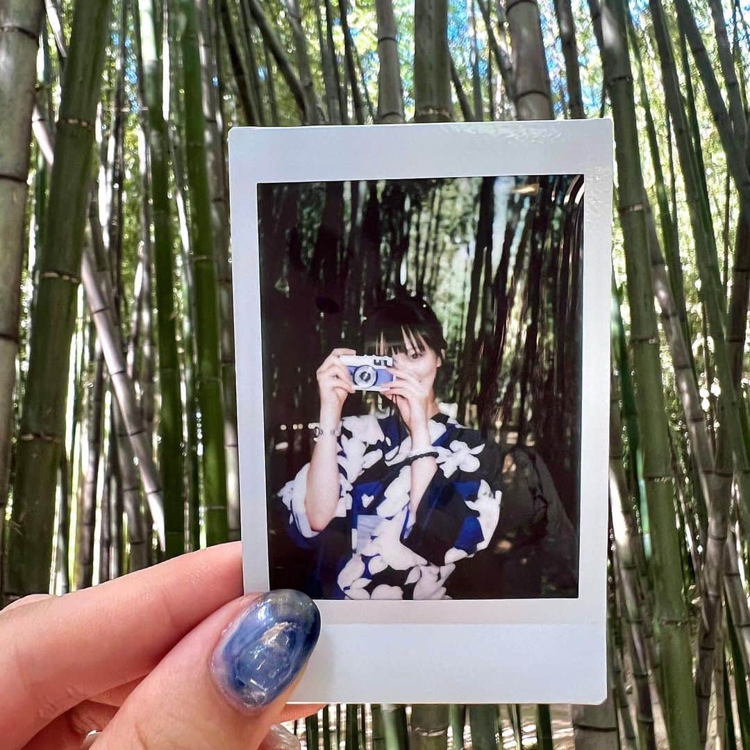 竹内詩乃のインスタグラム：「竹内なんで竹が好きです  #大覚寺 #京都 #京都旅行 #嵐山 #嵯峨 #竹林 #浴衣 #フィルムカメラ #チェキ #kyoto #kyotojapan #kyotopi #yukata #kimono #japan #japantravel #japanesegirl #過去pic #夏の思い出」