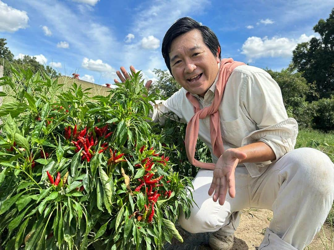 小石田純一のインスタグラム