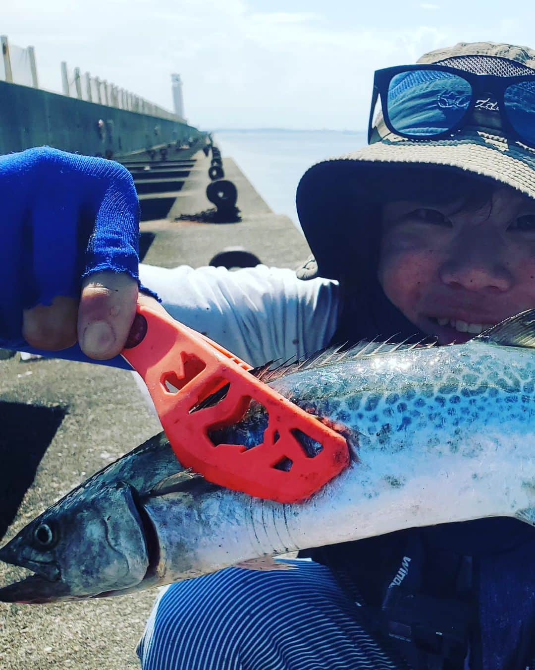 サトシさんのインスタグラム写真 - (サトシInstagram)「若潮 釣り開始AM5:30  各地でチラホラ秋の青物情報が聞こえてきた中久しぶりの南港沖堤防へ。  朝イチから潮も動いててベイトの気配もしっかりあって鳥も飛んでる好条件。  ジグサビキにメタルバイブ付けてキャスト後ボトムまで落としてストップアンドゴー。  3投目くらいでフォール中にアタリが来て軽く合わせたらググっと重くなってかわいいサゴシが上がってきました🐟  40cmくらいかな。  その後もポツポツとサゴシ、ツバス、サバ、セイゴ、イトヒキアジが釣れて小さめの子達ばっかやったけど常に何か釣れる状態で楽しく出来ました。  ベイトはほぼ5cm程のカタクチイワシとサヨリ。⁡ ⁡⁡ ⁡アタリはほとんどフォール中！  周りではハマチが上がってたりと秋のおとづれを感じさせてくれる海でした☀️  いよいよ秋の青物シーズン開幕ですね☆」9月10日 12時41分 - satoshi_honwaka